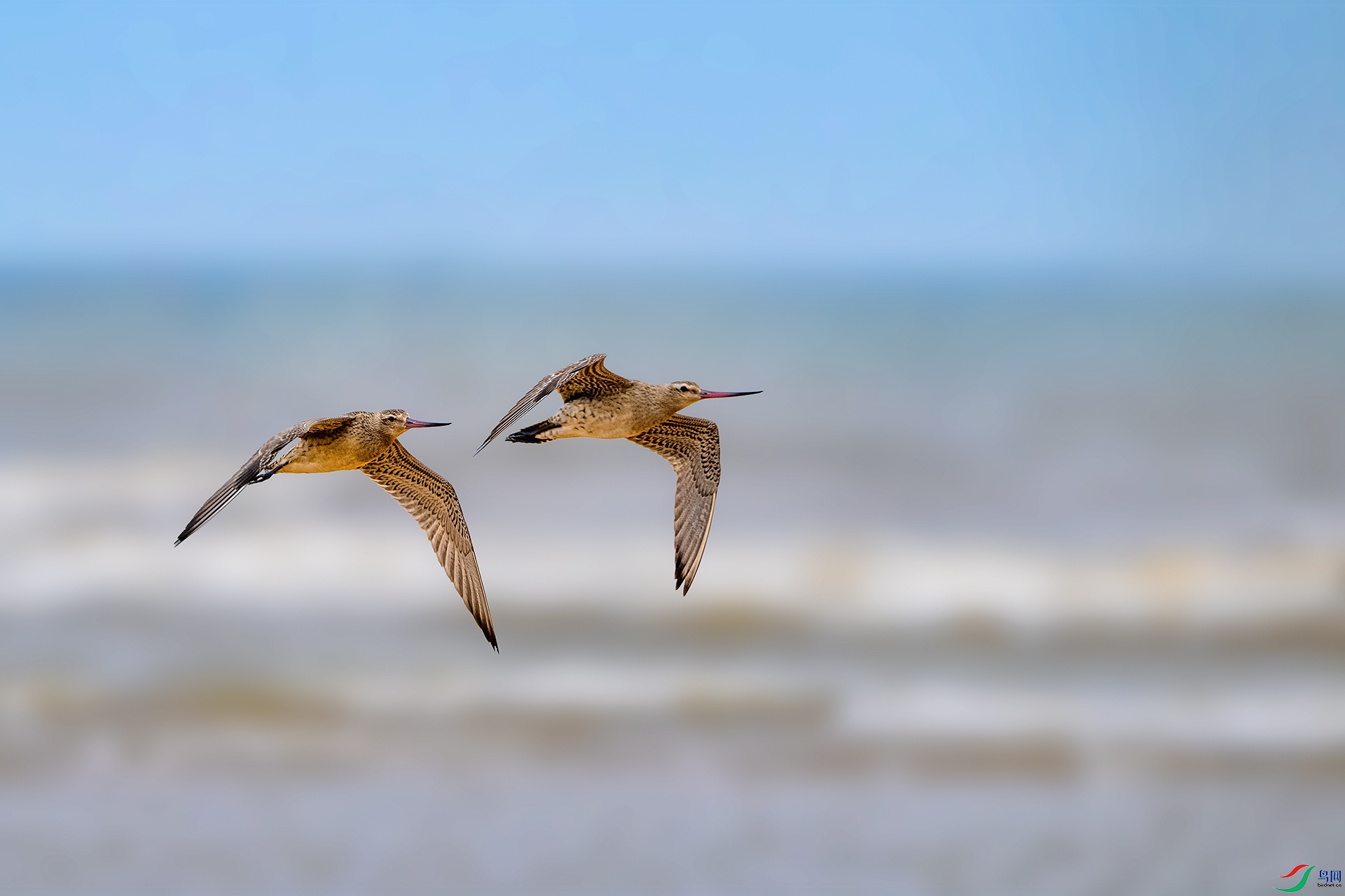 _DSC6339 ����.jpg