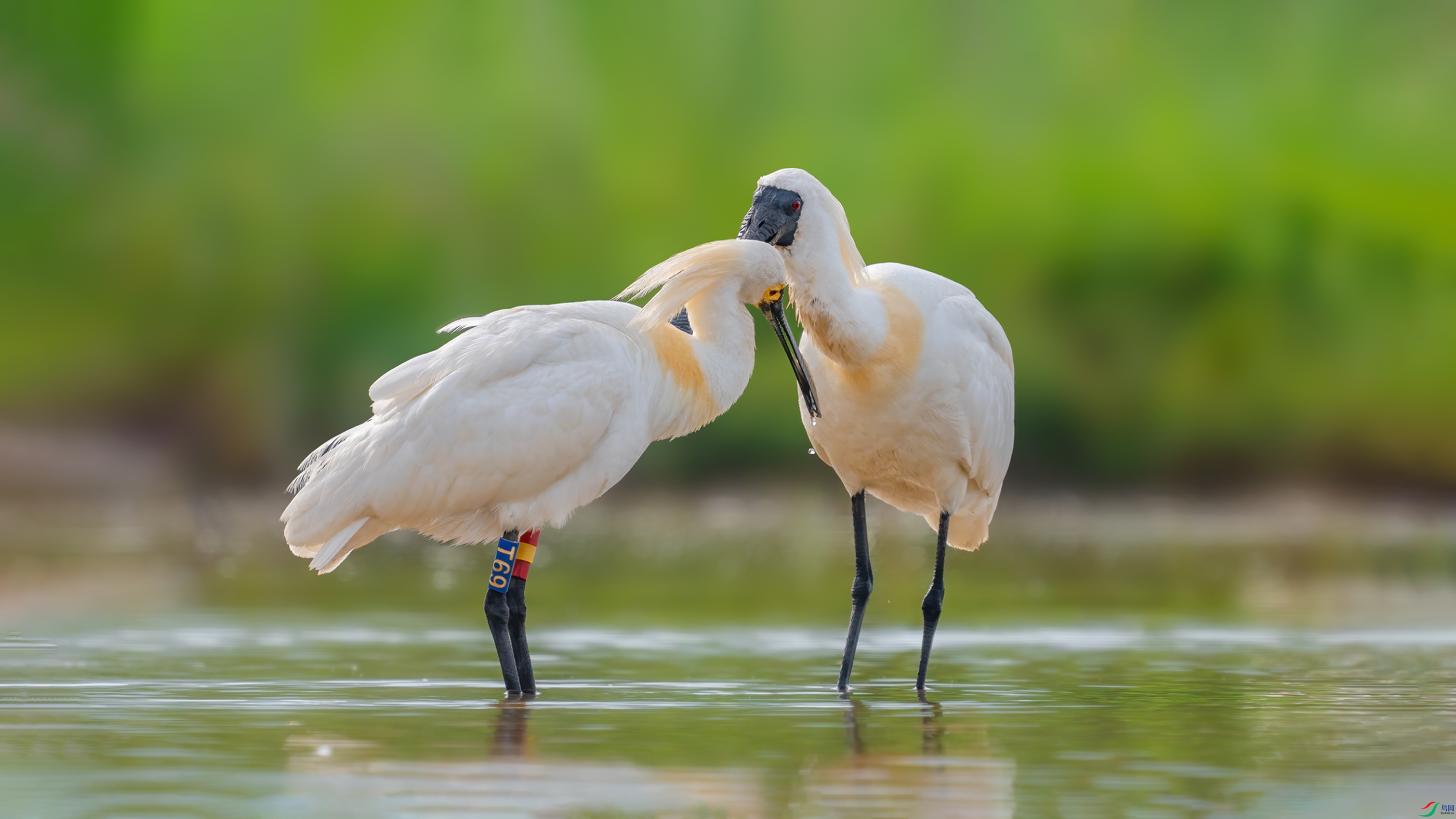 DSC04730 ���� 2.jpg