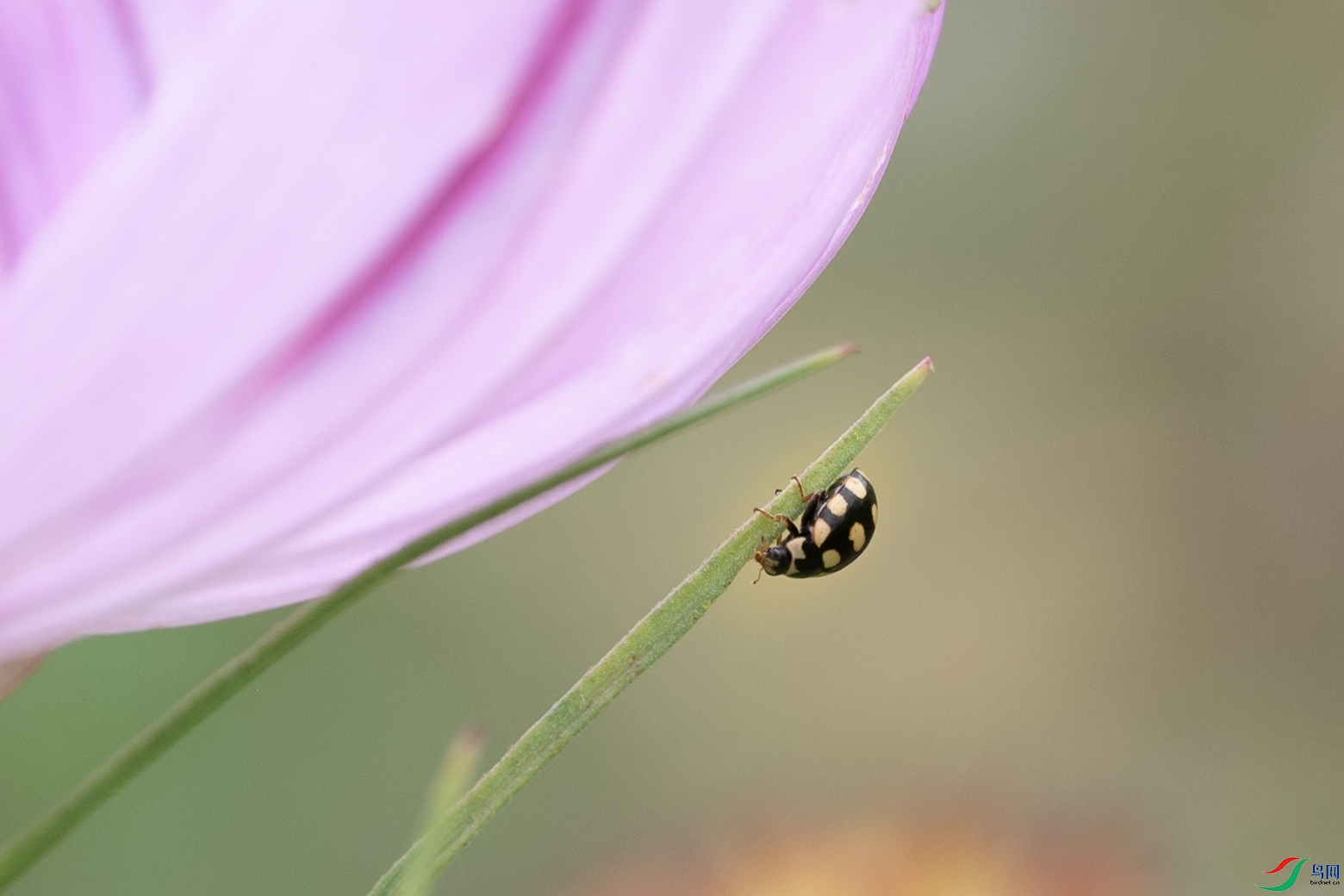 DSC_3440 ����.jpg