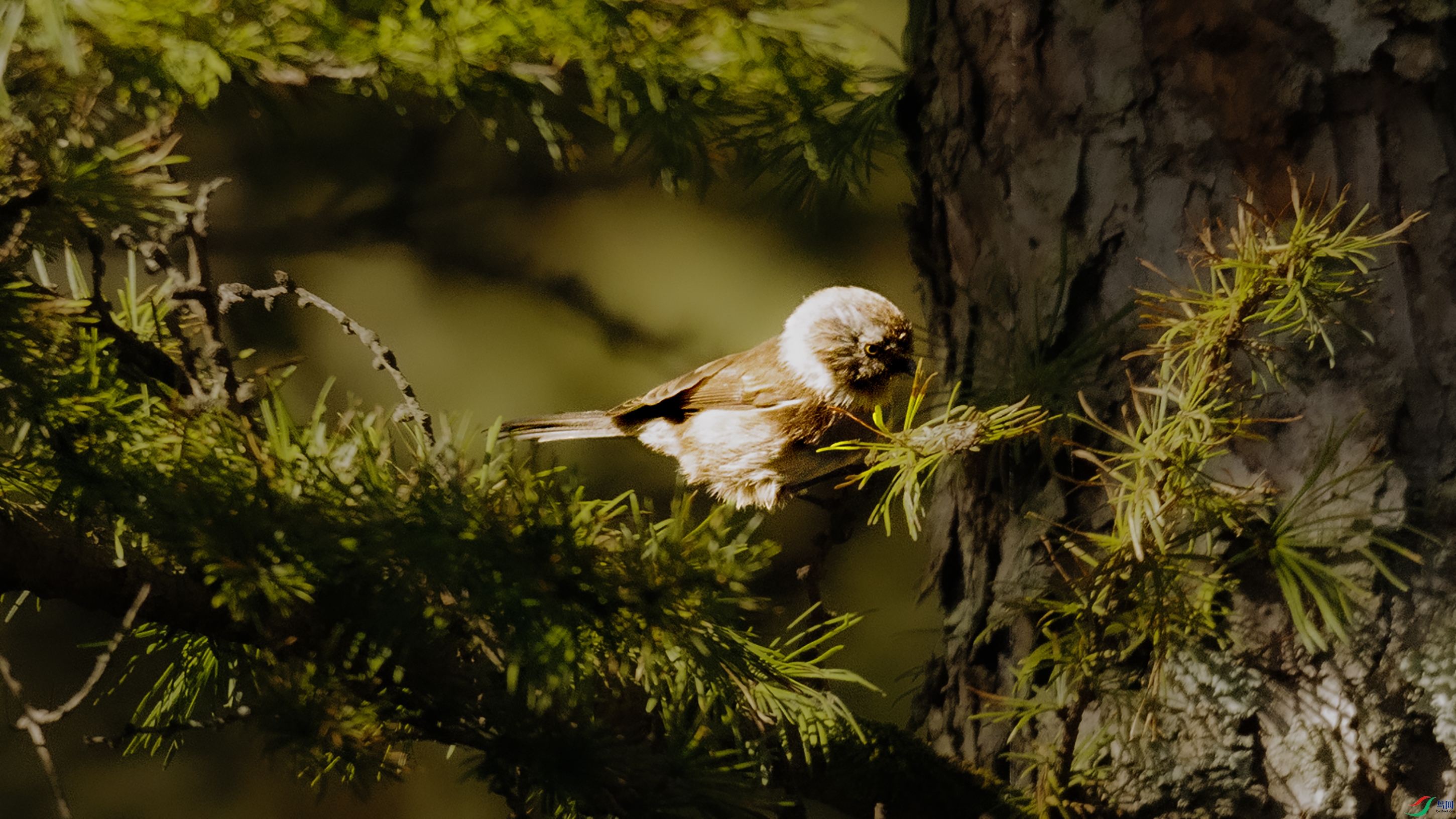 7X5A7805 ����.jpg