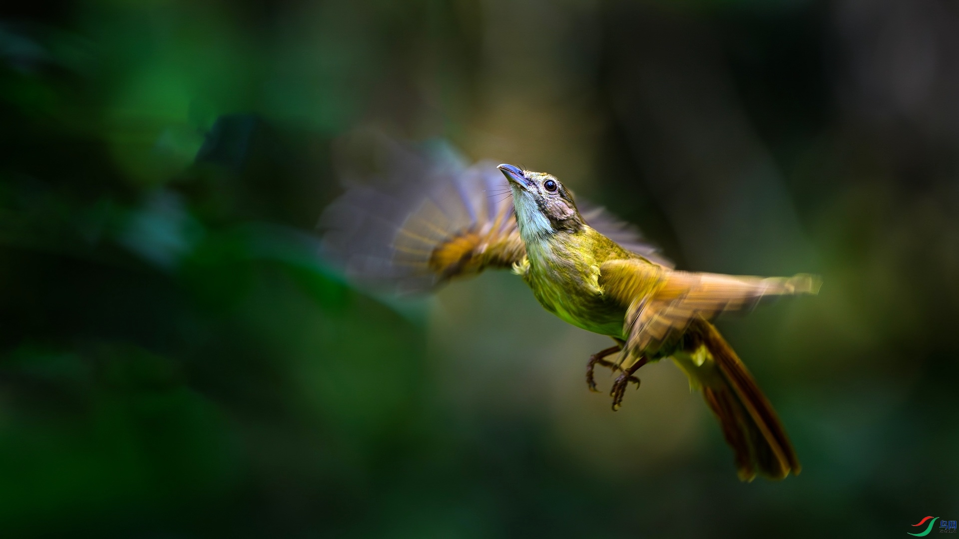 1_XXL0914-����ǿ-NR ����-1.jpeg