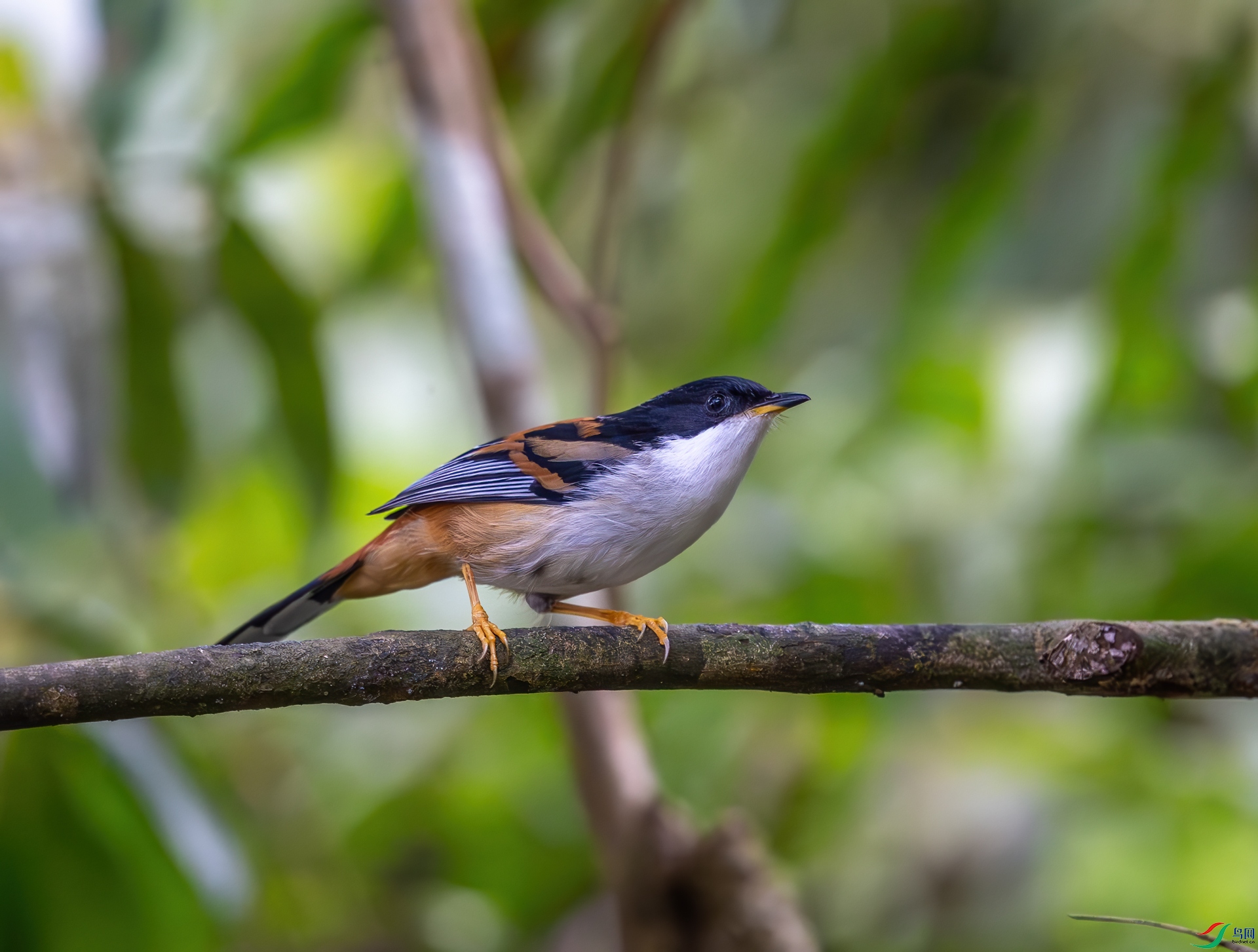 DSC_6617.jpg