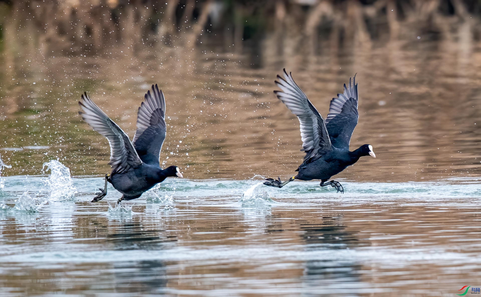 DSC_3875.jpg