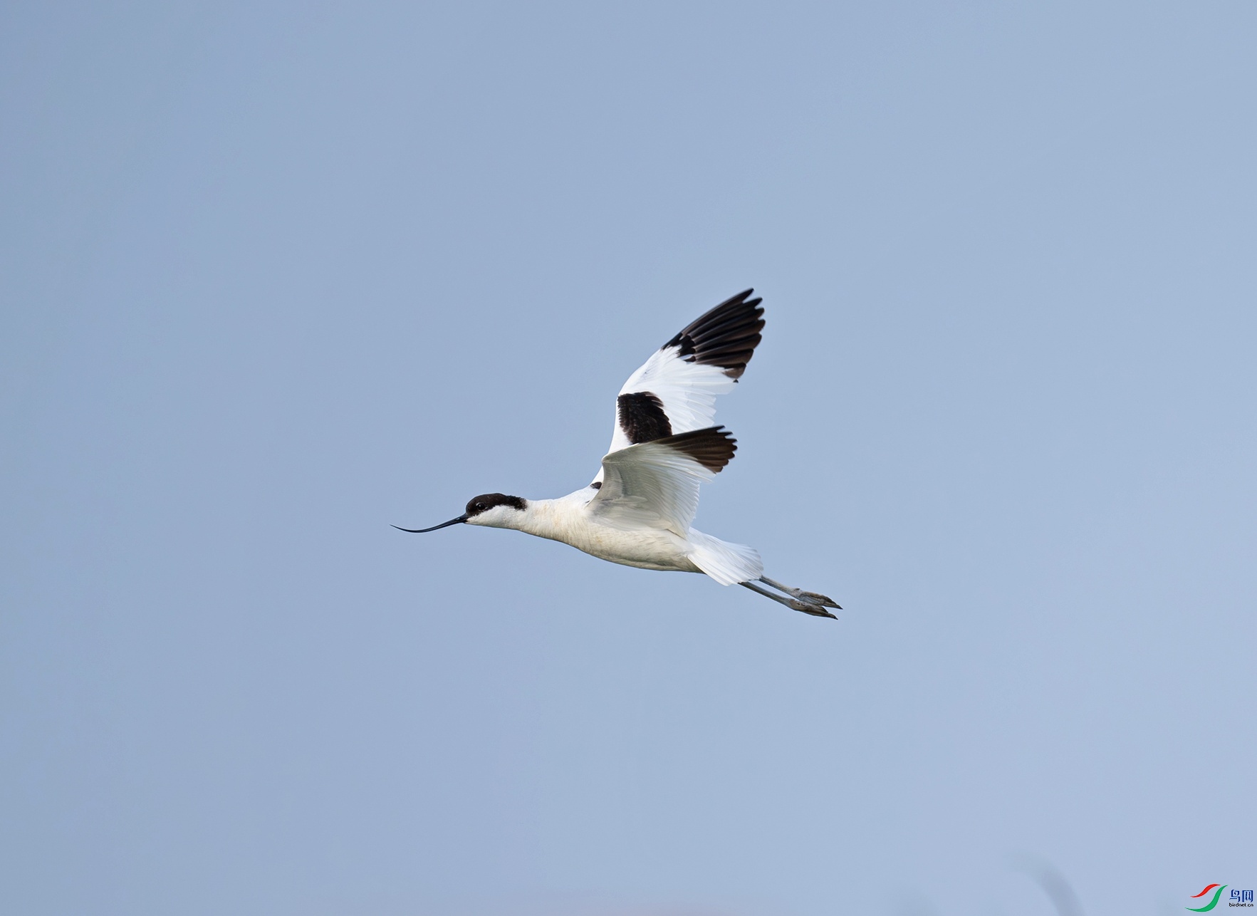 _DSC5456f.jpg