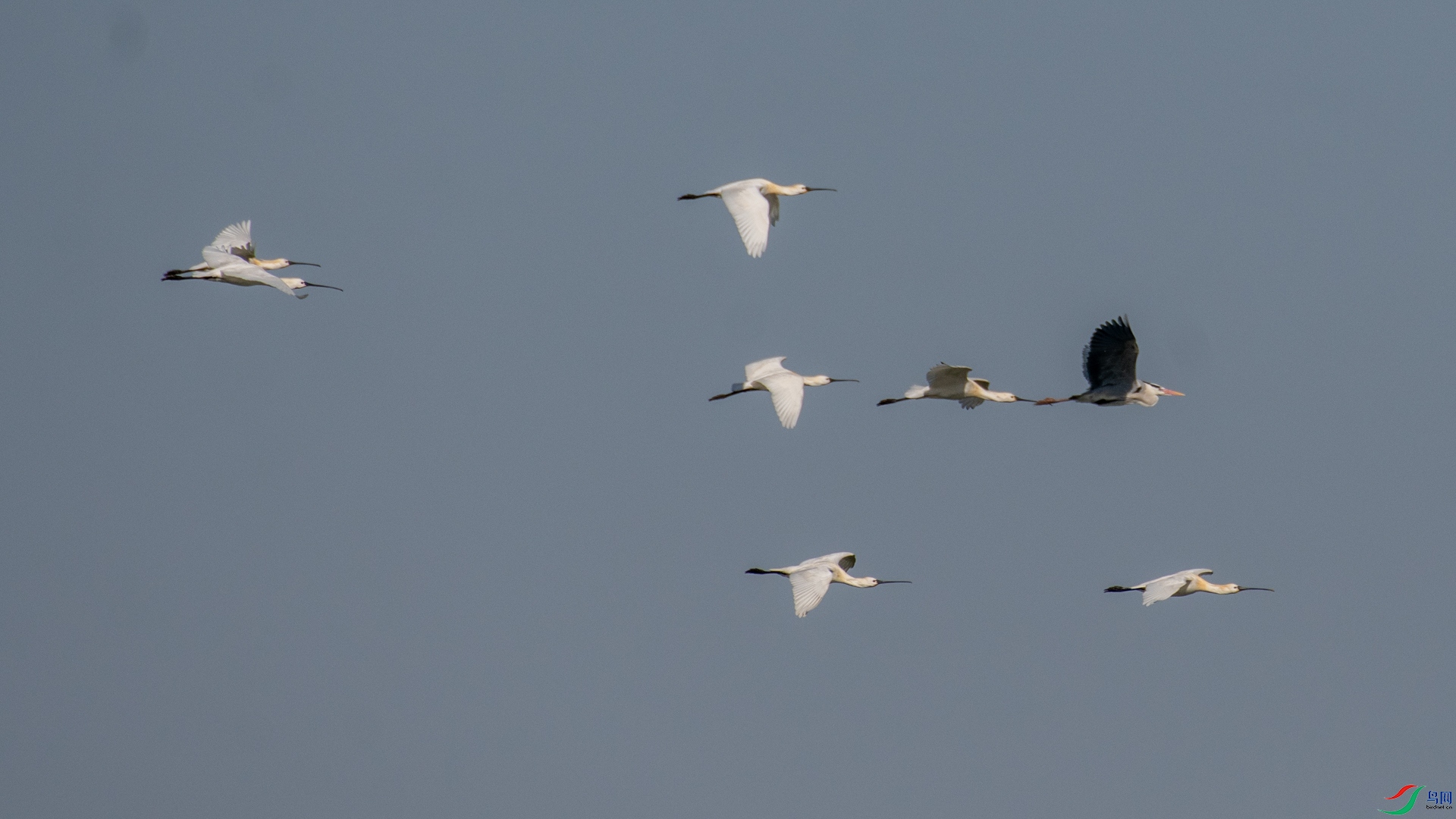 DSC_0827.jpg