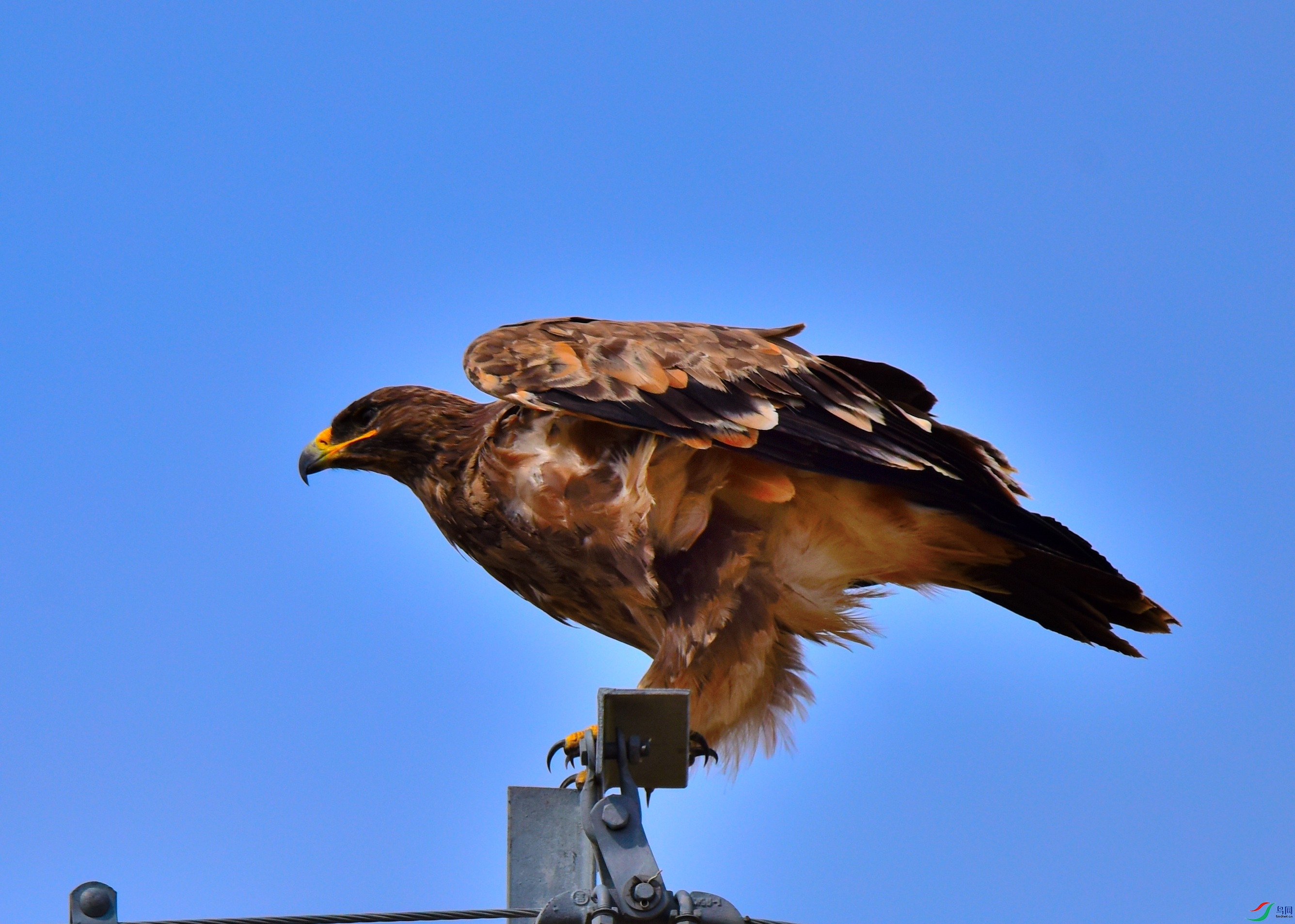 DSC_3942.JPG
