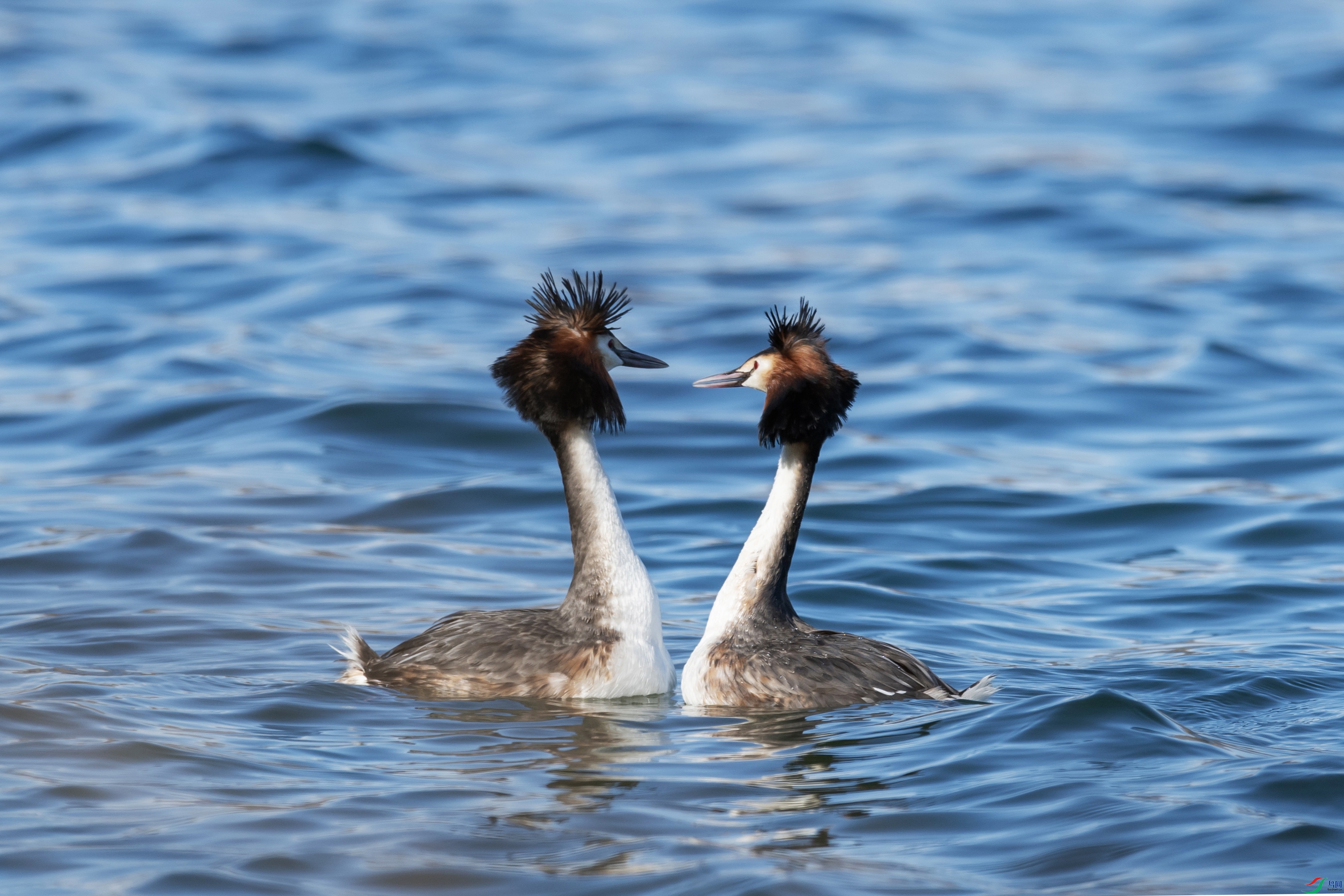 DSC_1583 ����.jpg