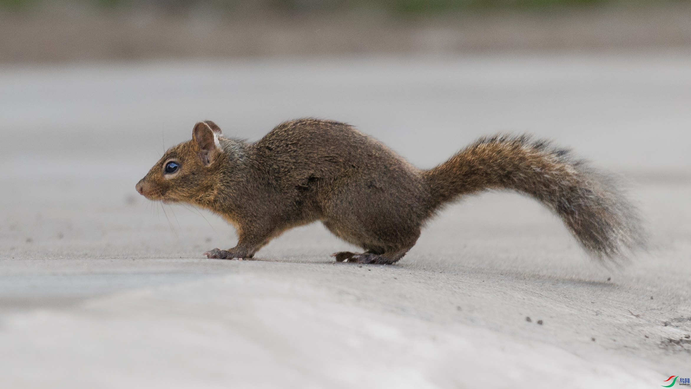 7X5A7715 ����.jpg