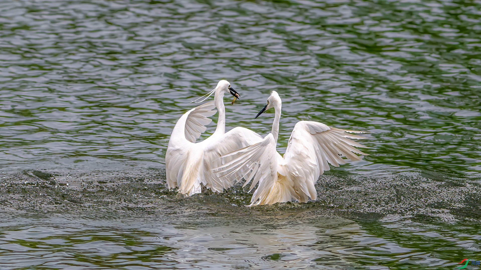 DSC_2755.jpg
