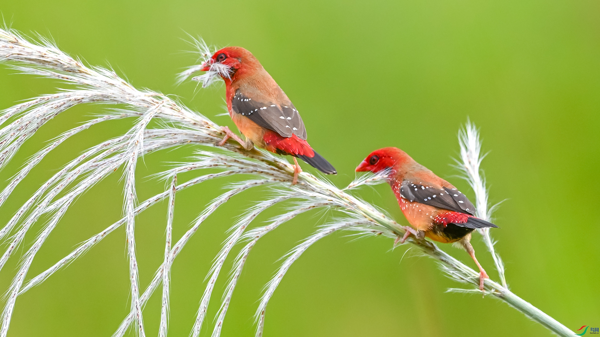 4522 ����.jpg