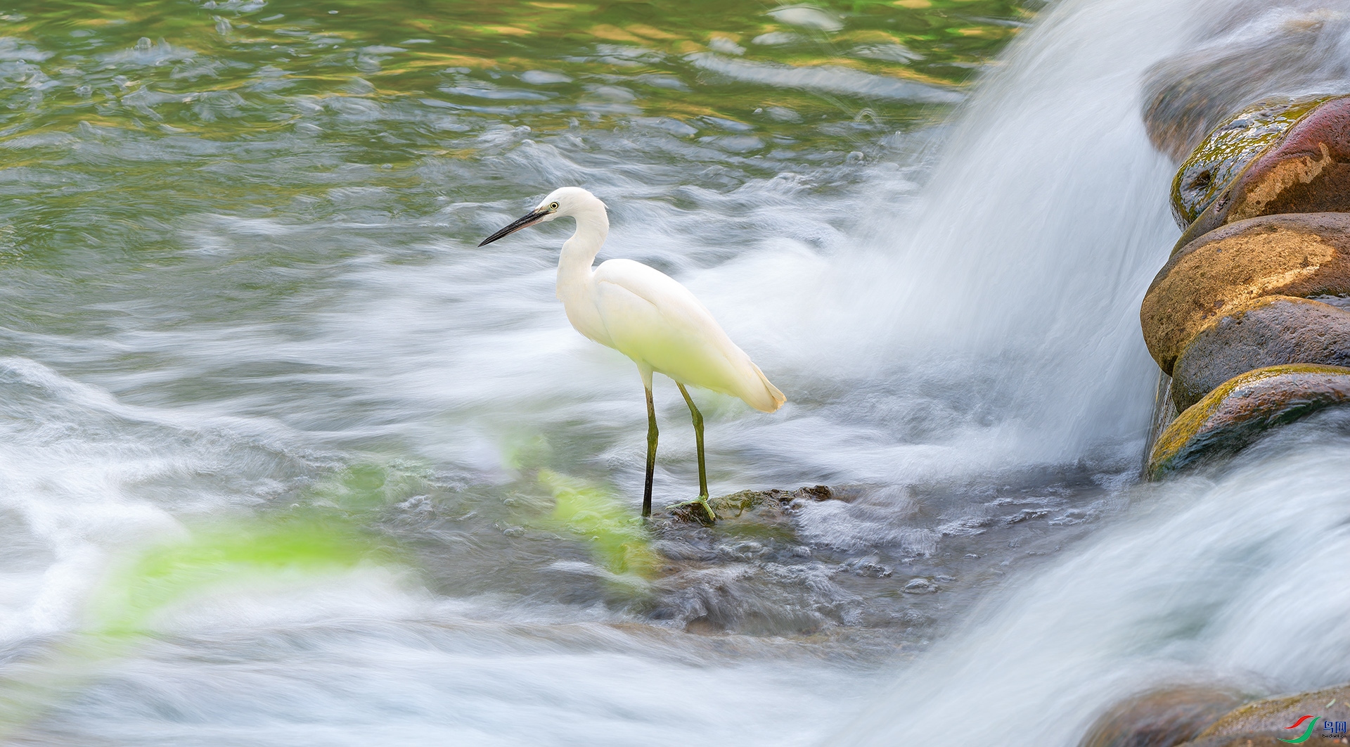 DSC_6403-2.jpg