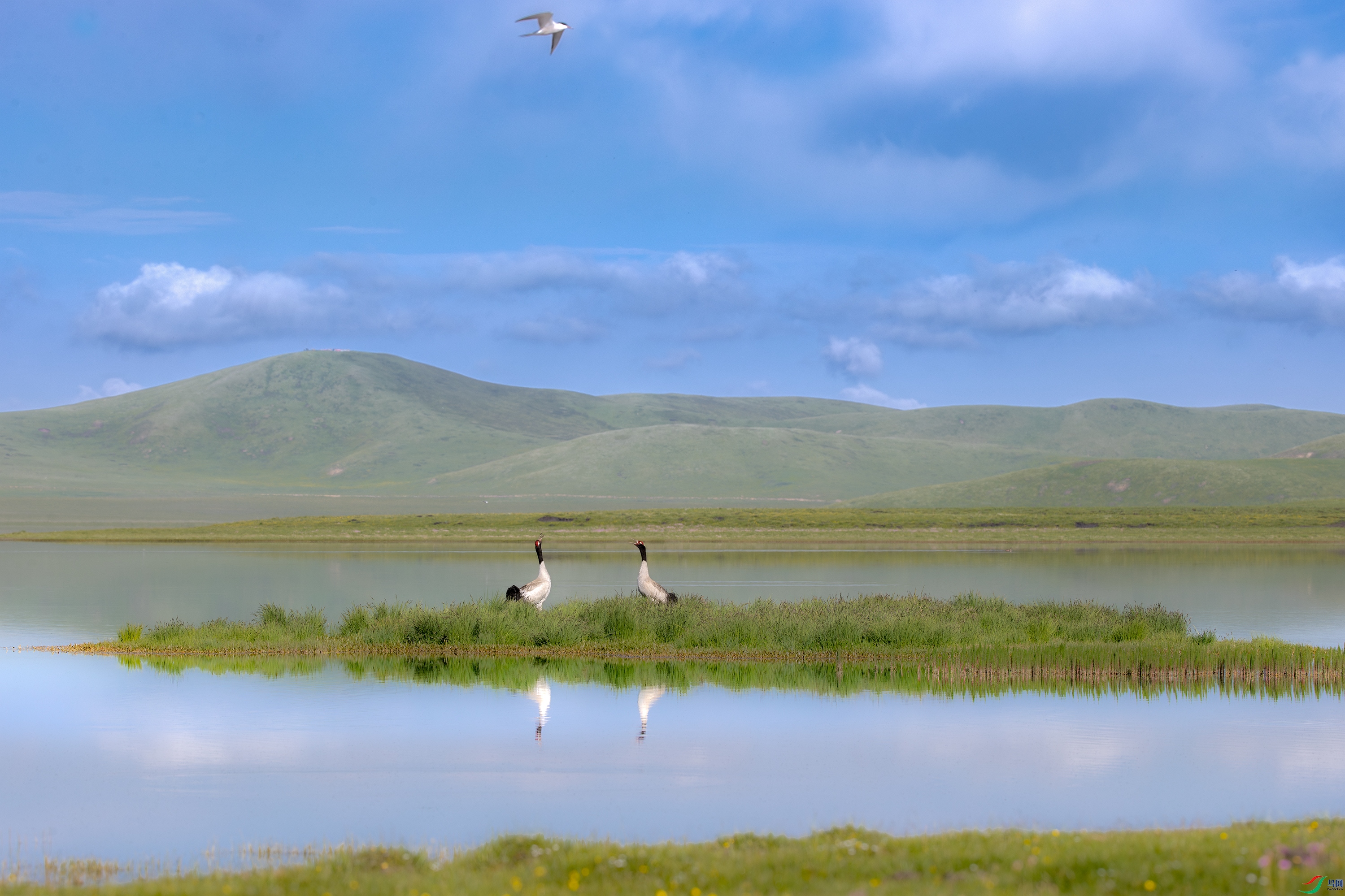 A15I8195- ����.jpg