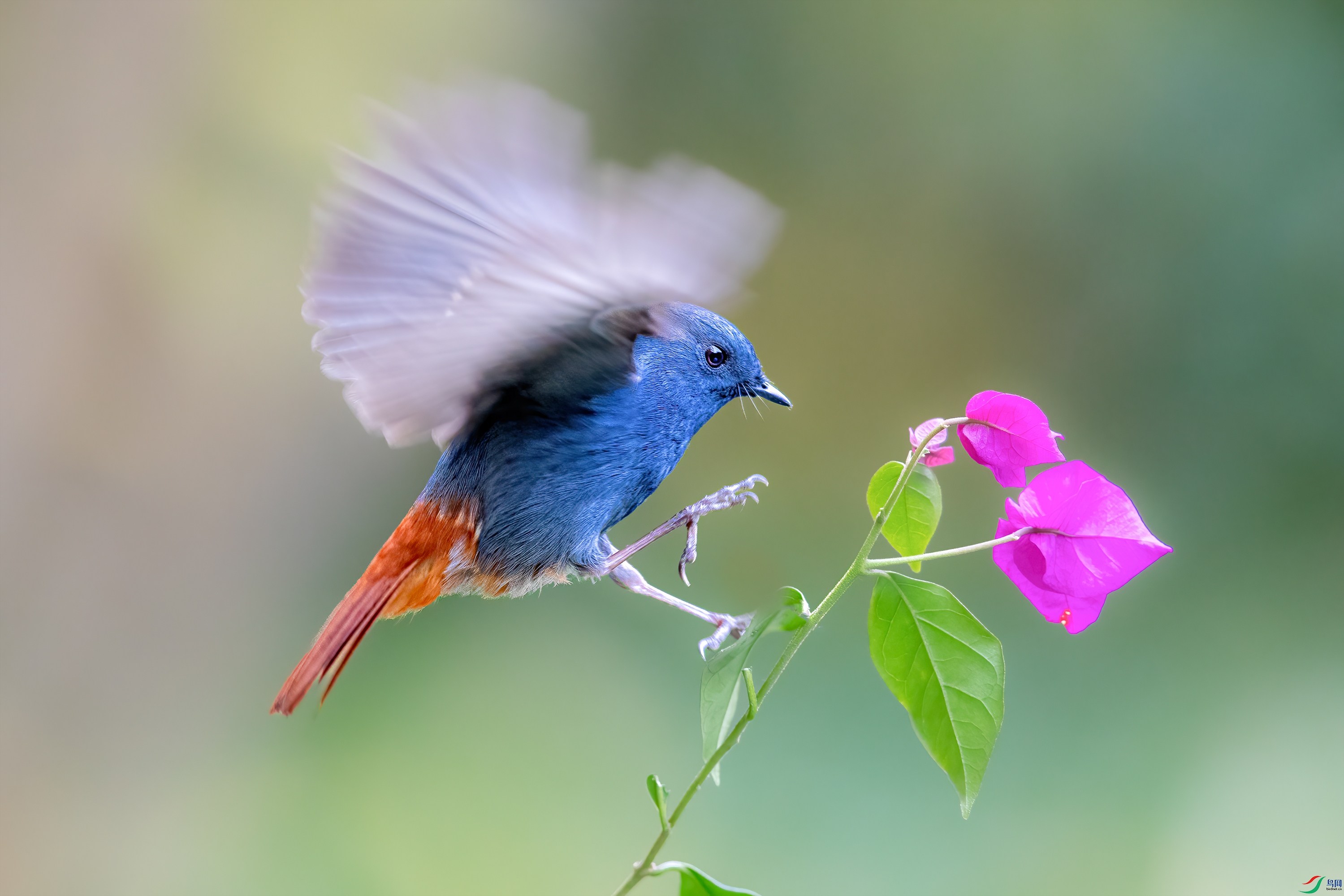 _Y8I2726 ����.jpg