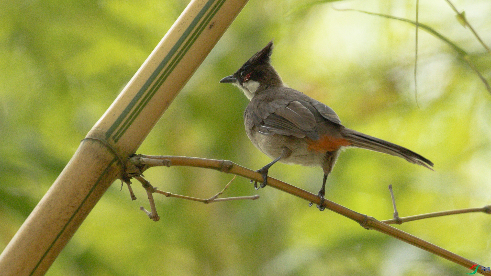 ���������񲻾� 2