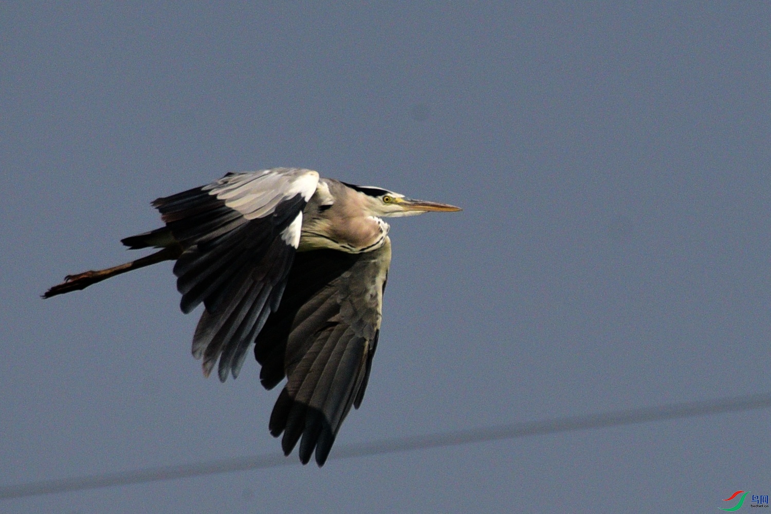 DSC_7981.JPG