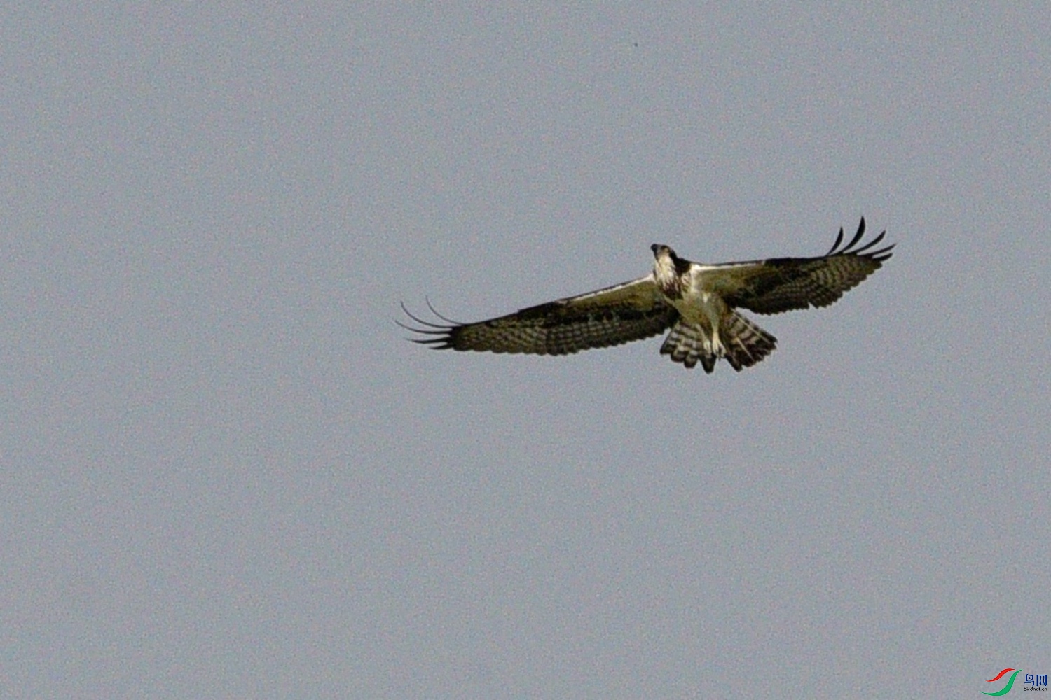 DSC_8039.JPG
