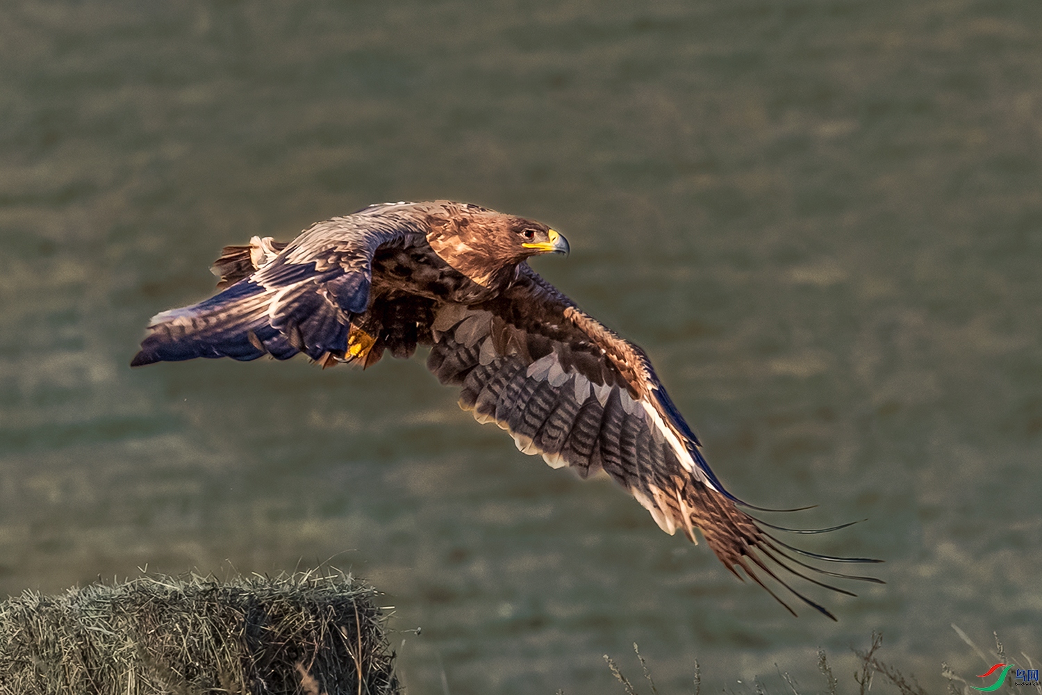 ��ԭ��----��ԭ����չ����