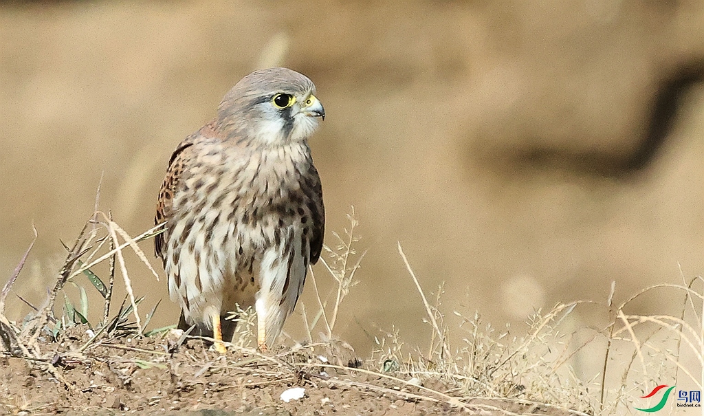 1P3A6022.JPG