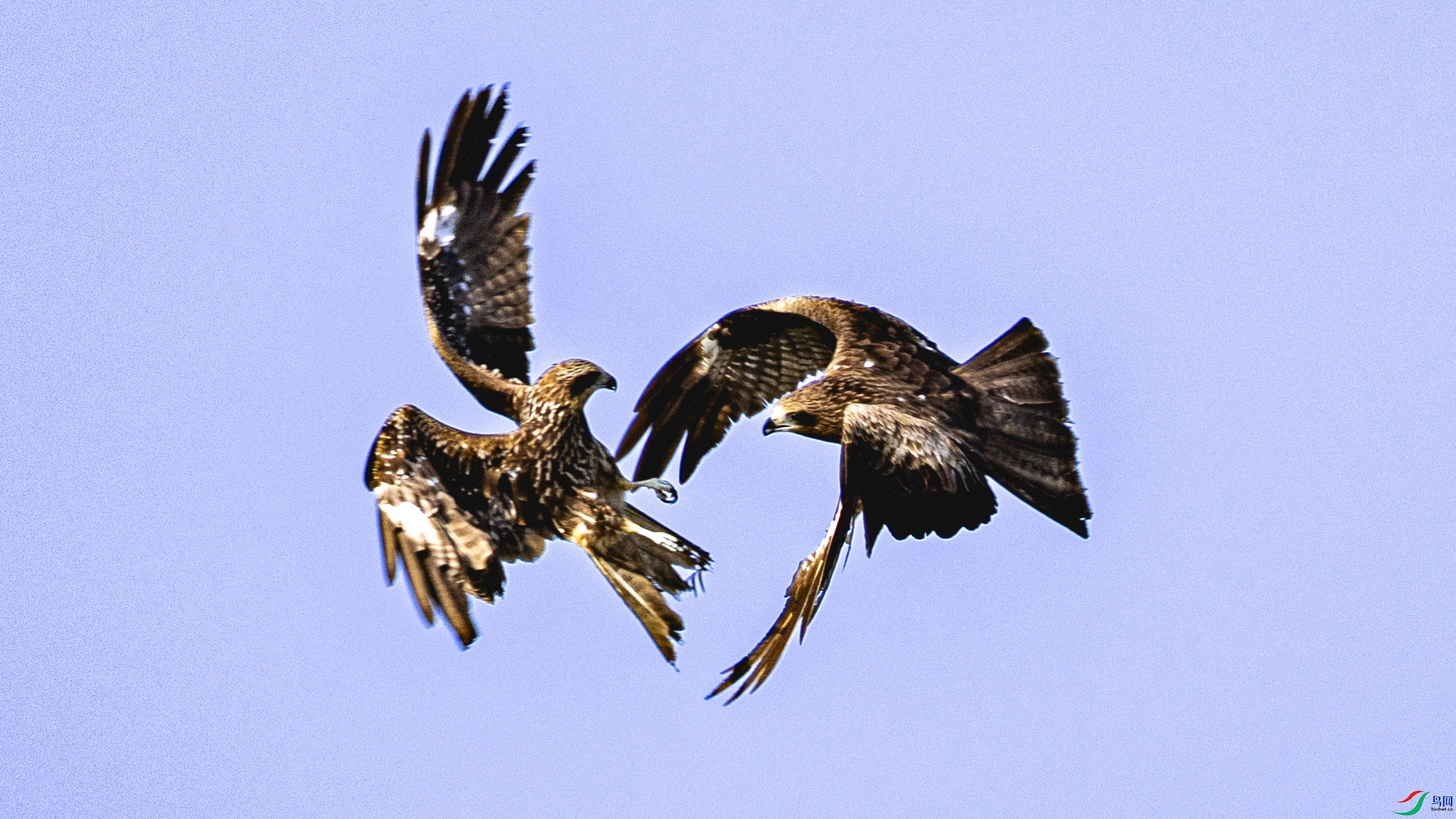 4Z6A8407-2.jpg