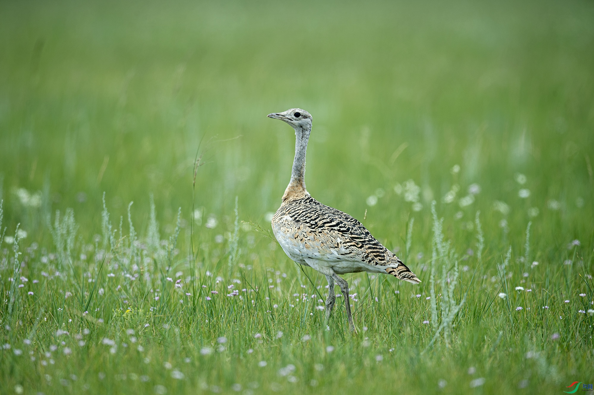 DSC_5128.jpg