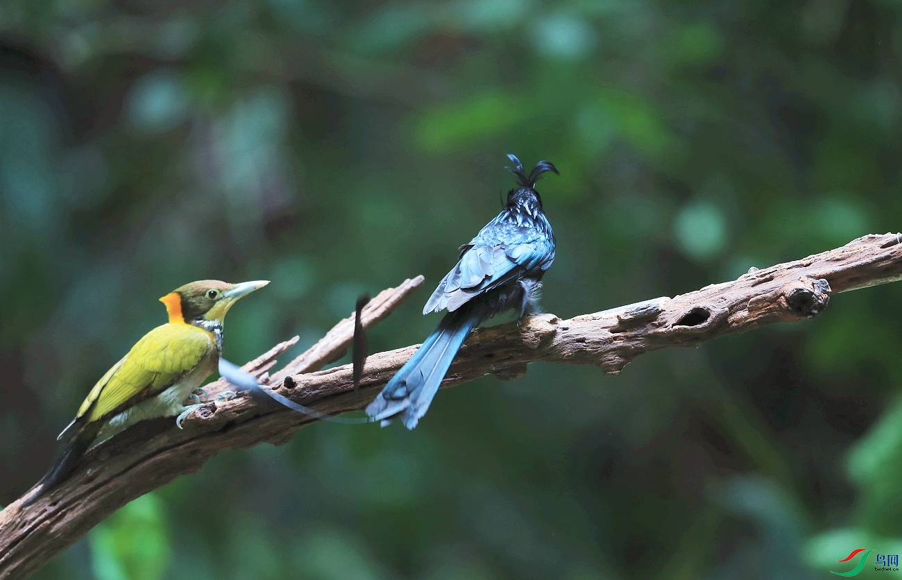 ���� AI0I7638.JPG