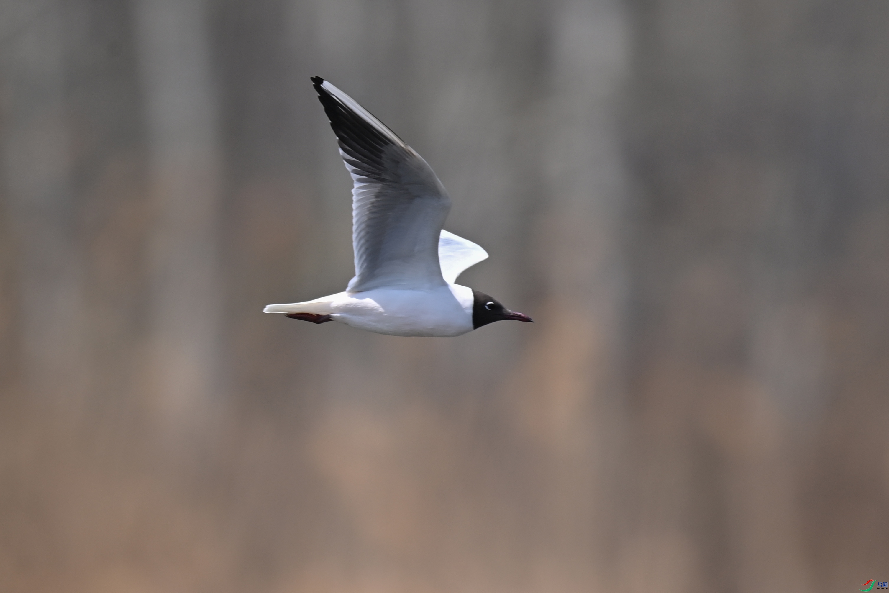 DSC_5149.jpg