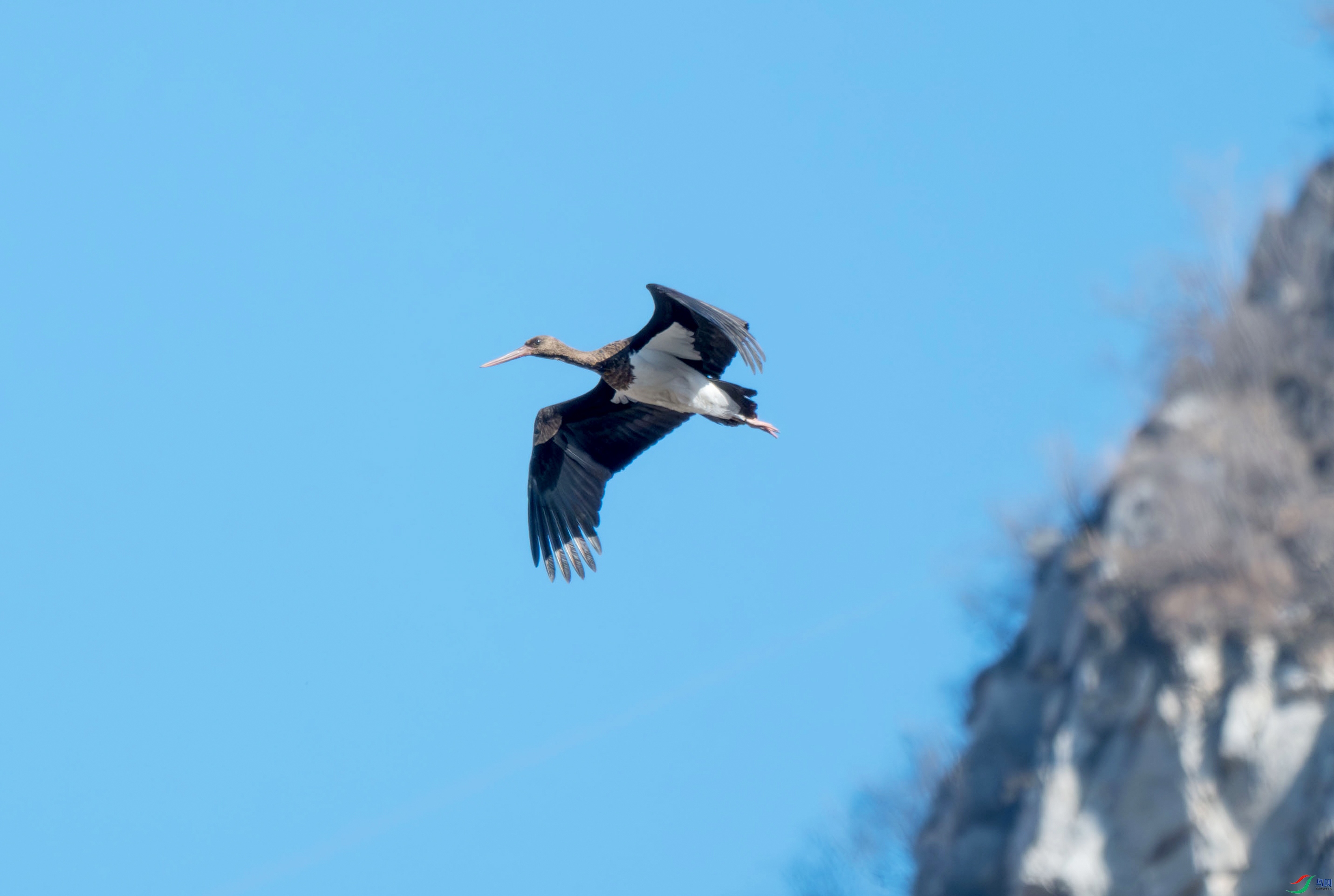 DSC_2273.jpg