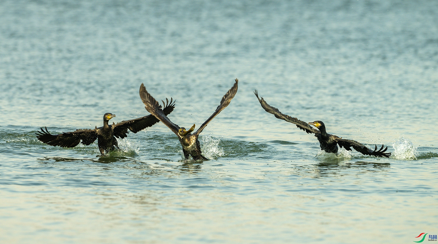 1221 ����.jpg