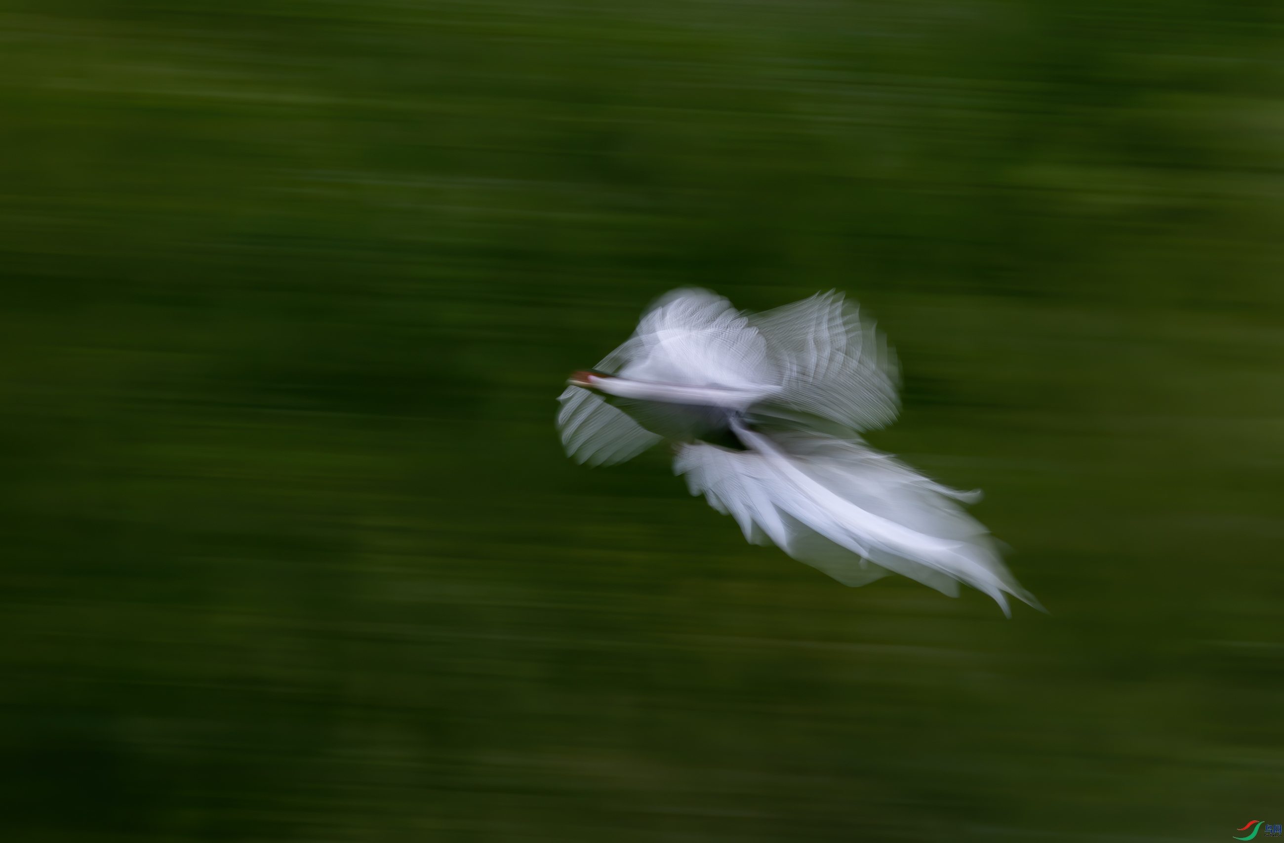 DSC_7717-11.jpg
