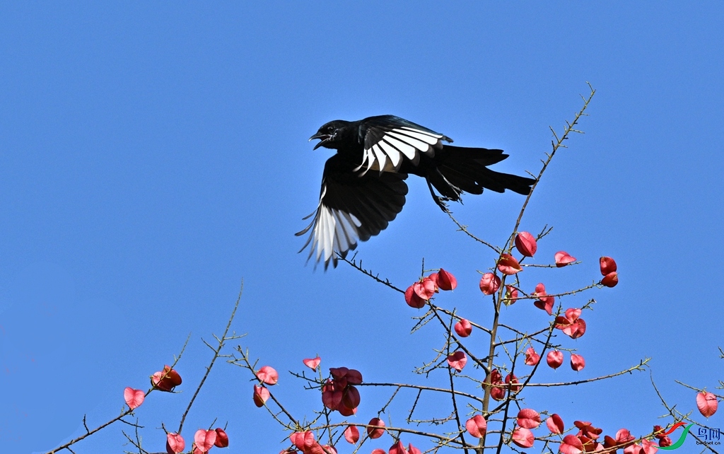 DSC_0891.JPG