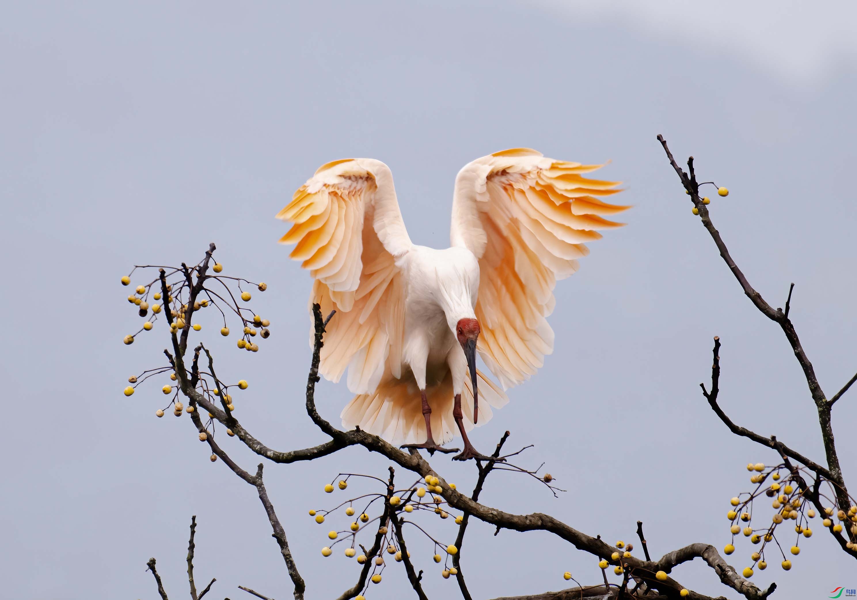 DSC_0217 ���� 2.jpg