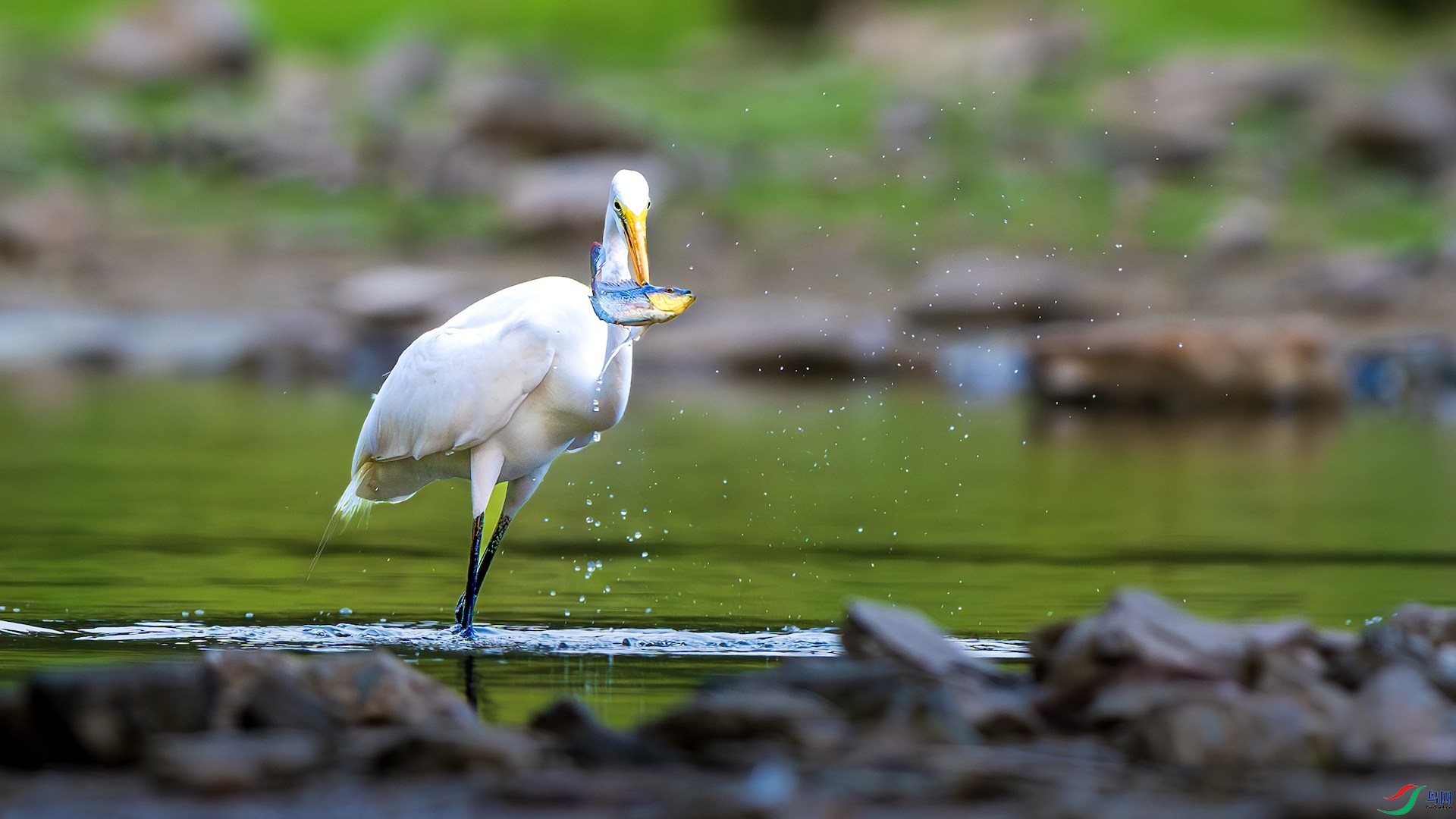 1_XXL3742-����ǿ-NR ����.jpeg