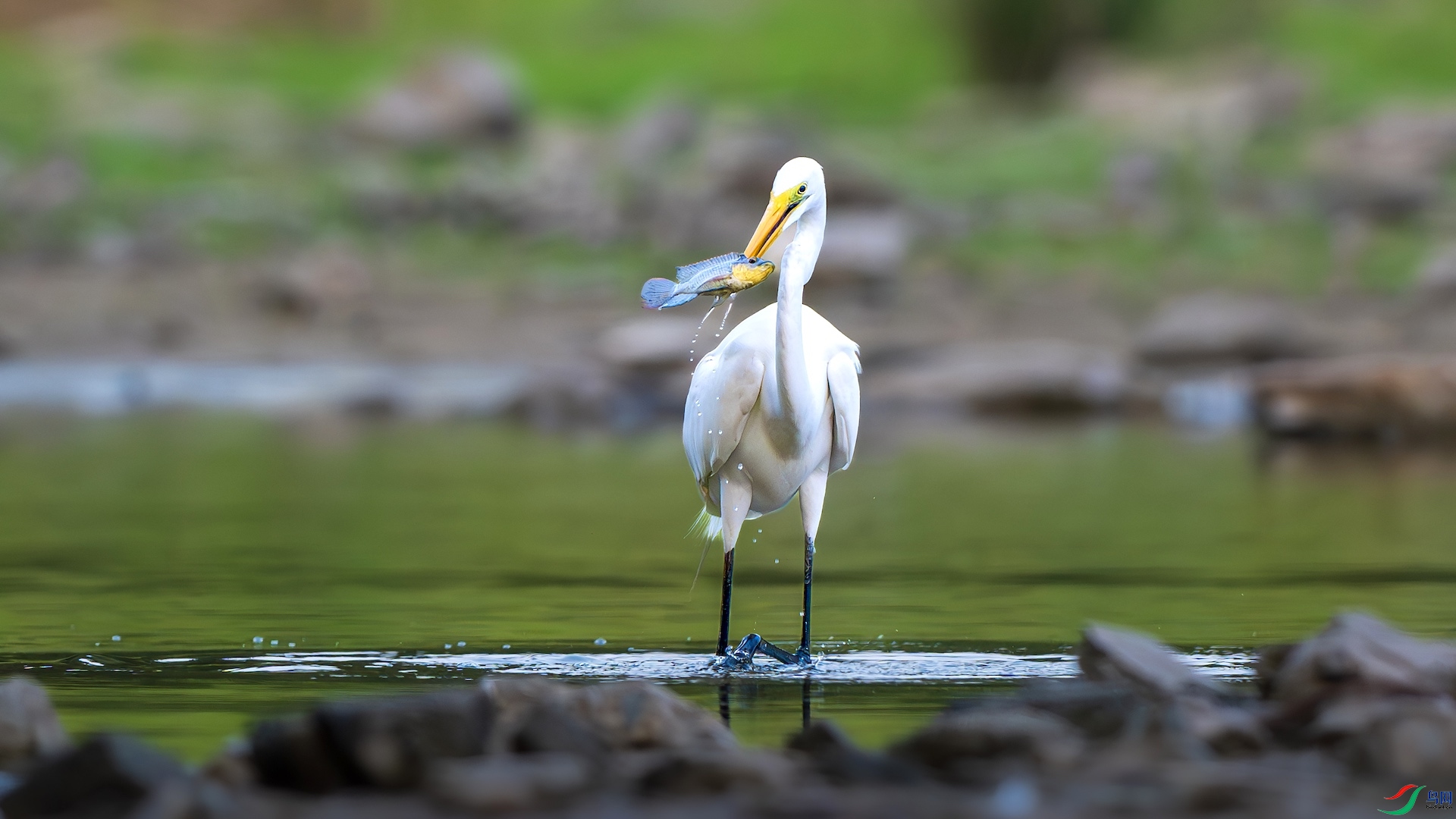 1_XXL3750-����ǿ-NR ����.jpeg