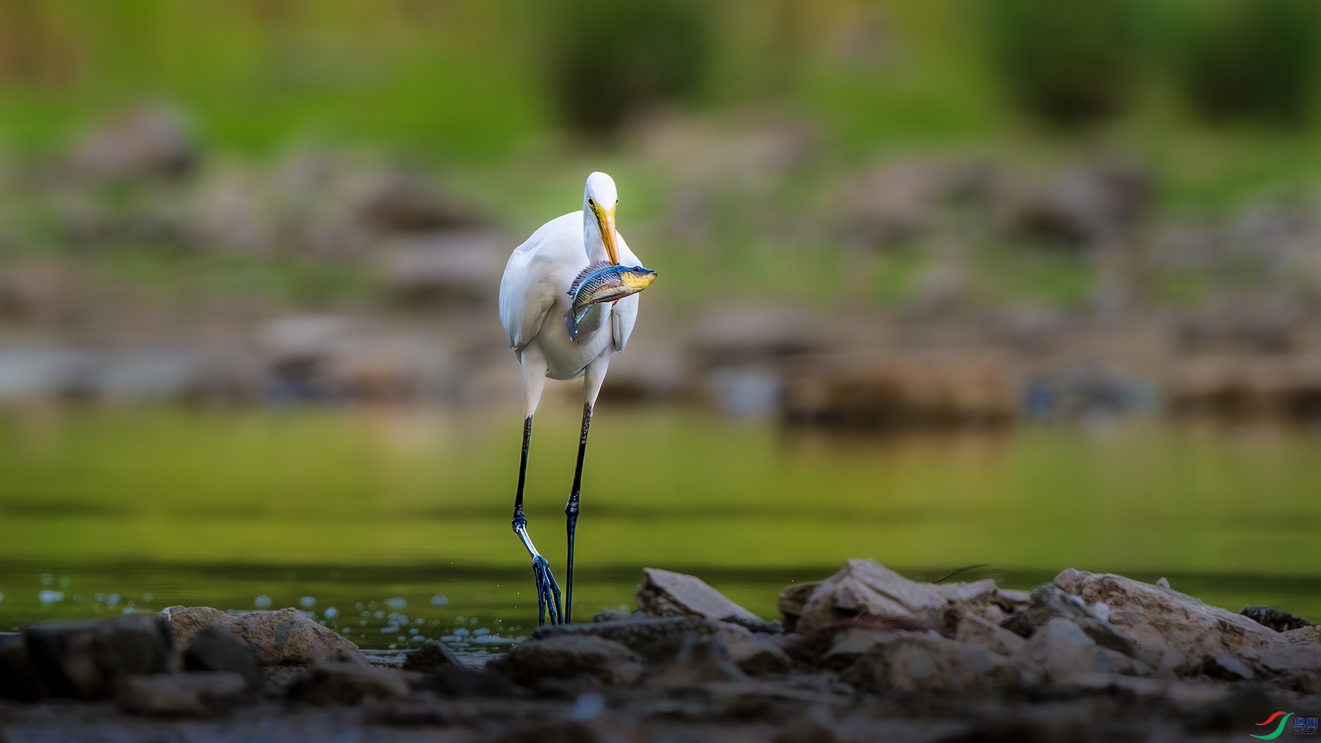 1_XXL3766-����ǿ-NR ����.jpeg