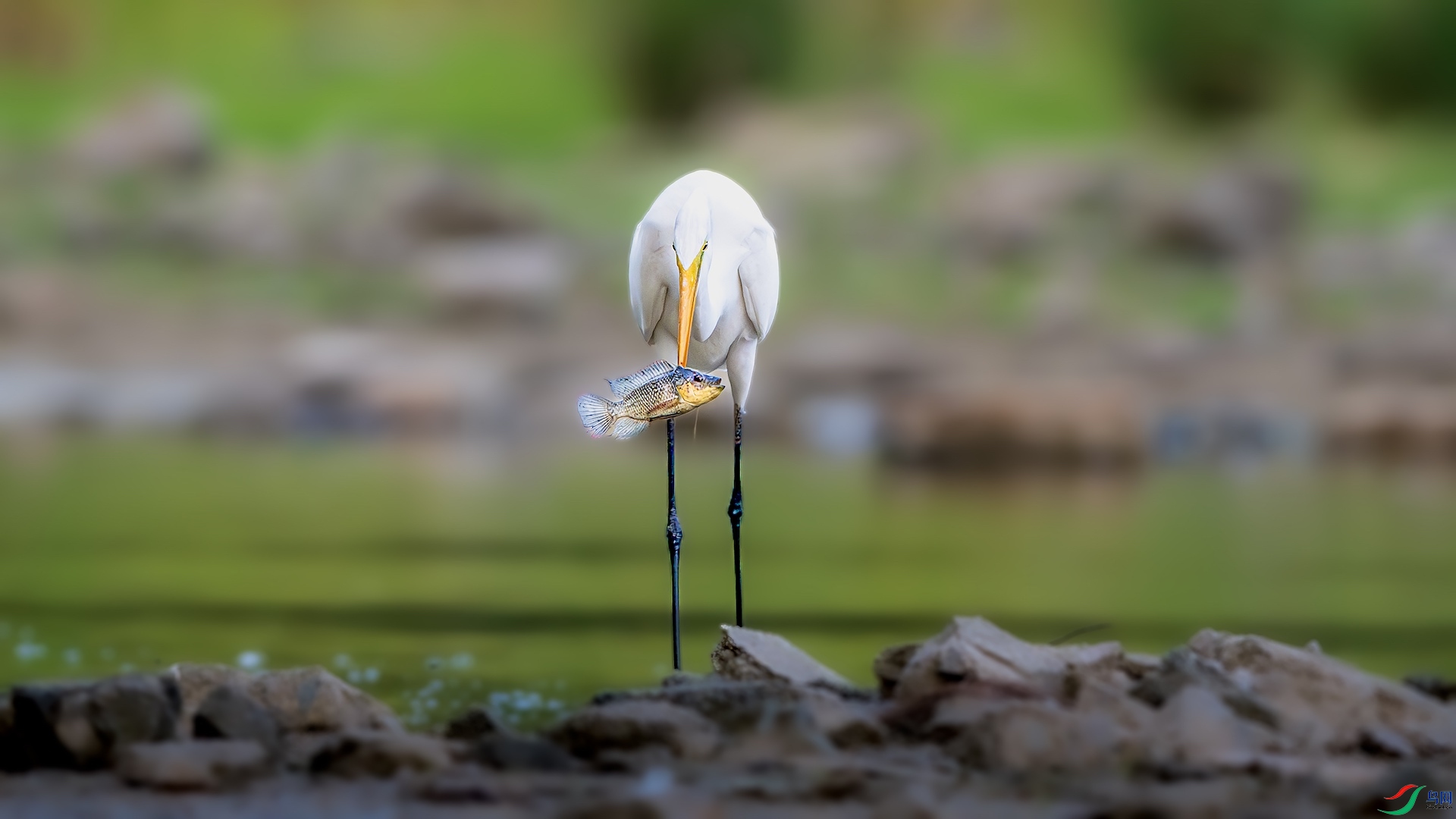 1_XXL3782-����ǿ-NR ����.jpeg