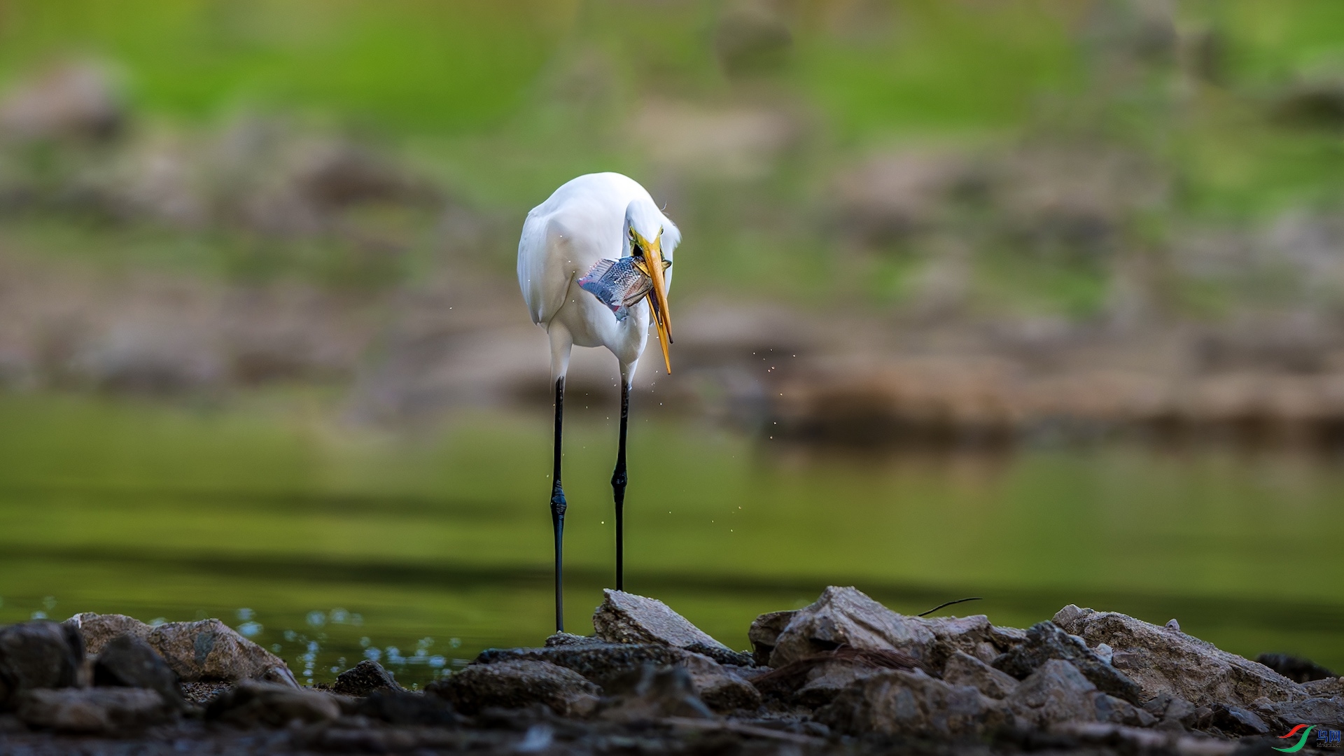 1_XXL3783-����ǿ-NR ����.jpeg