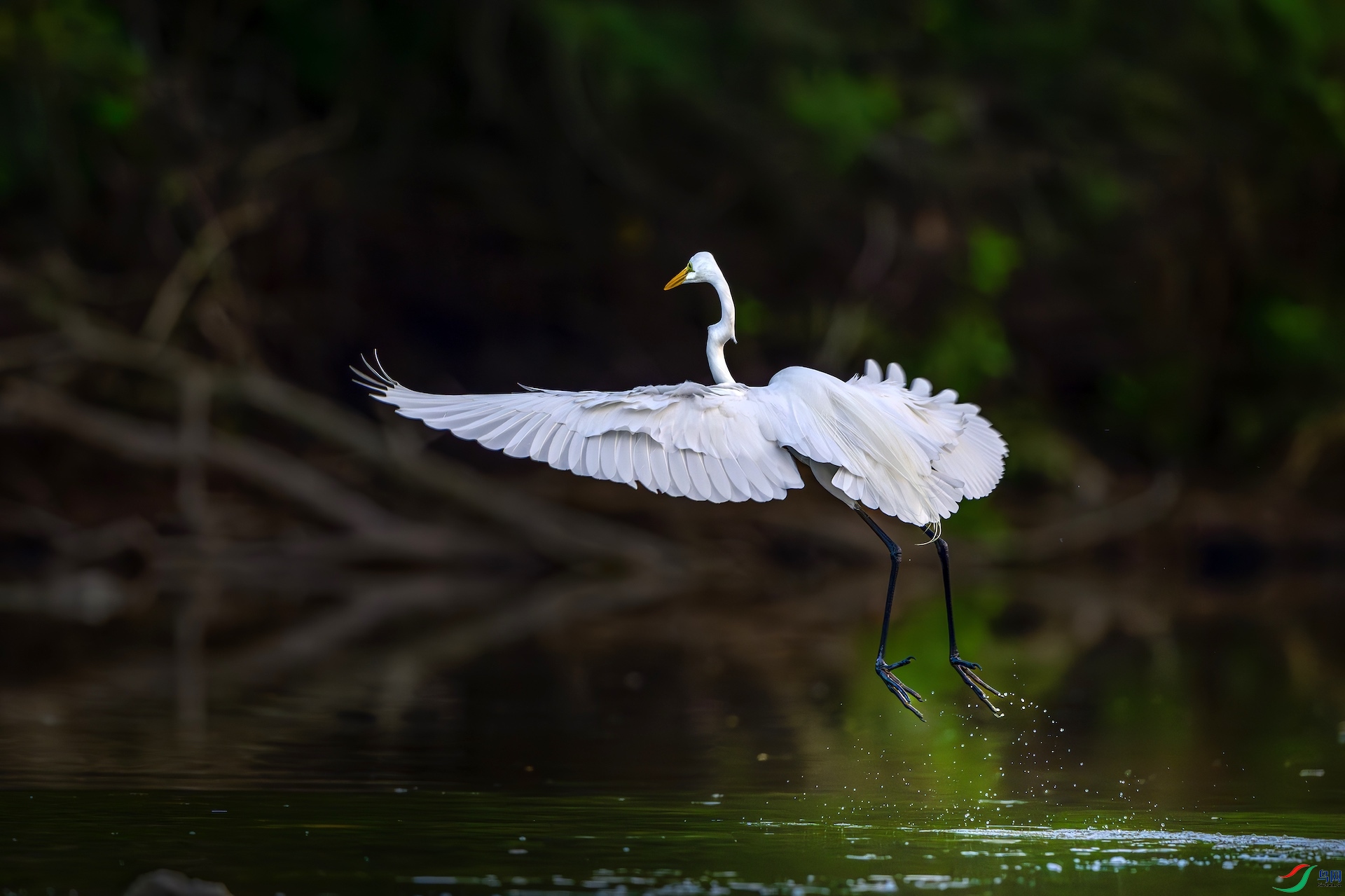 1_XXL3841-����ǿ-NR ����.jpeg