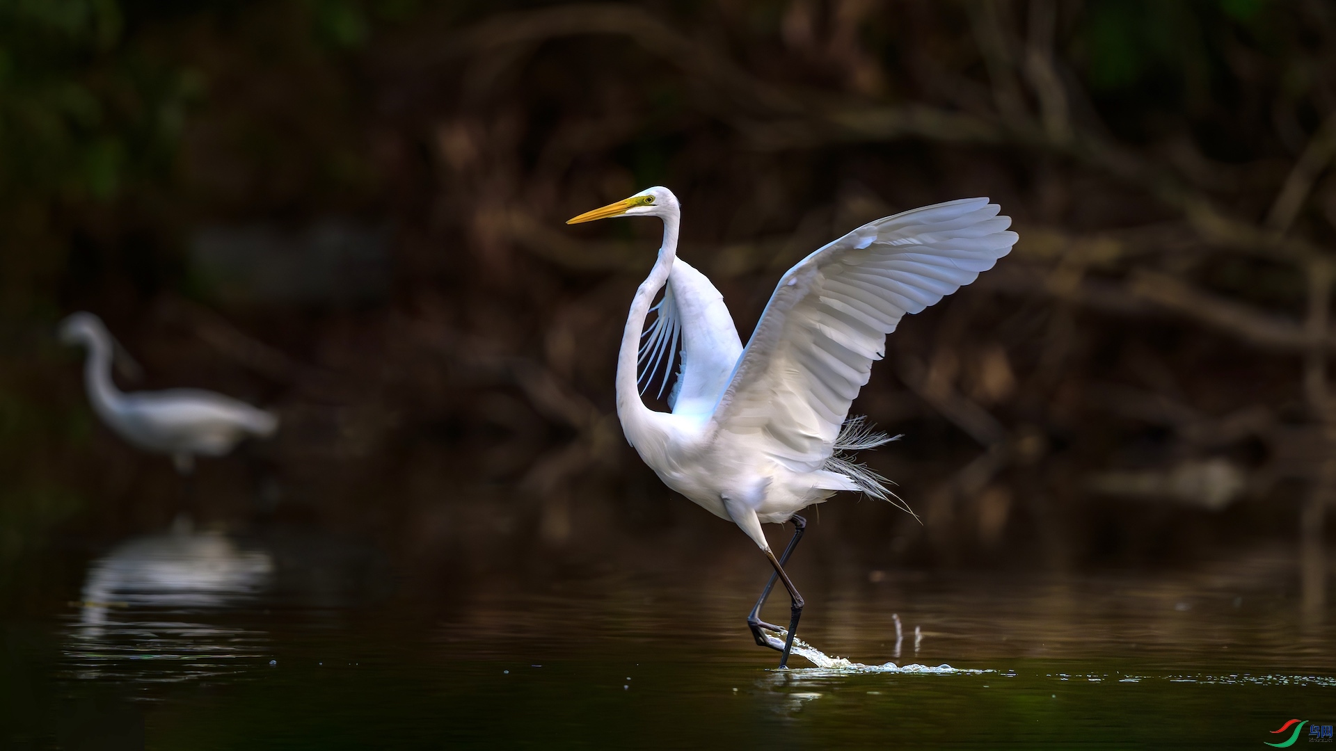 1_XXL3860-����ǿ-NR ����.jpeg