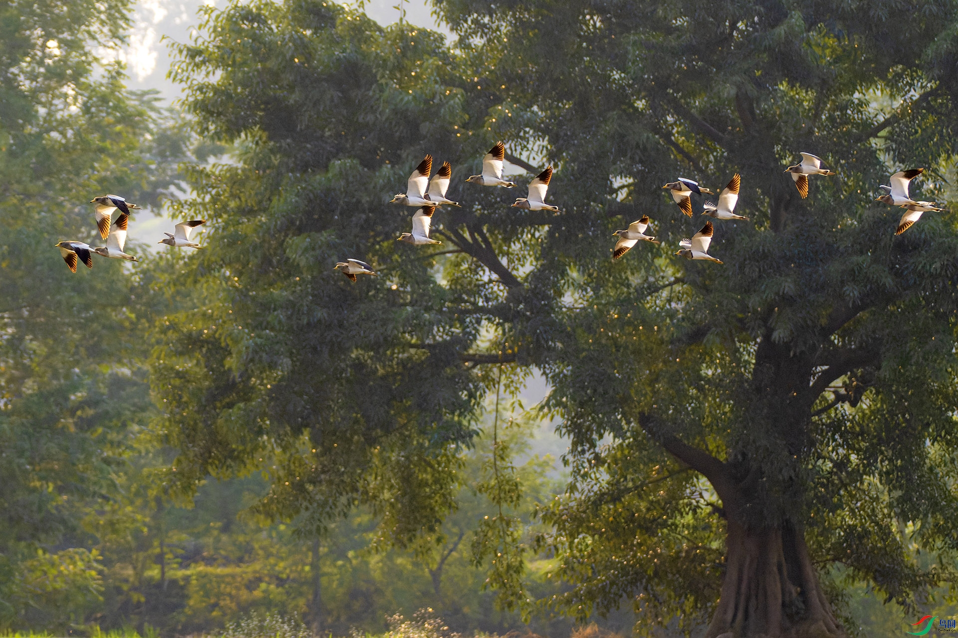 �����͡�