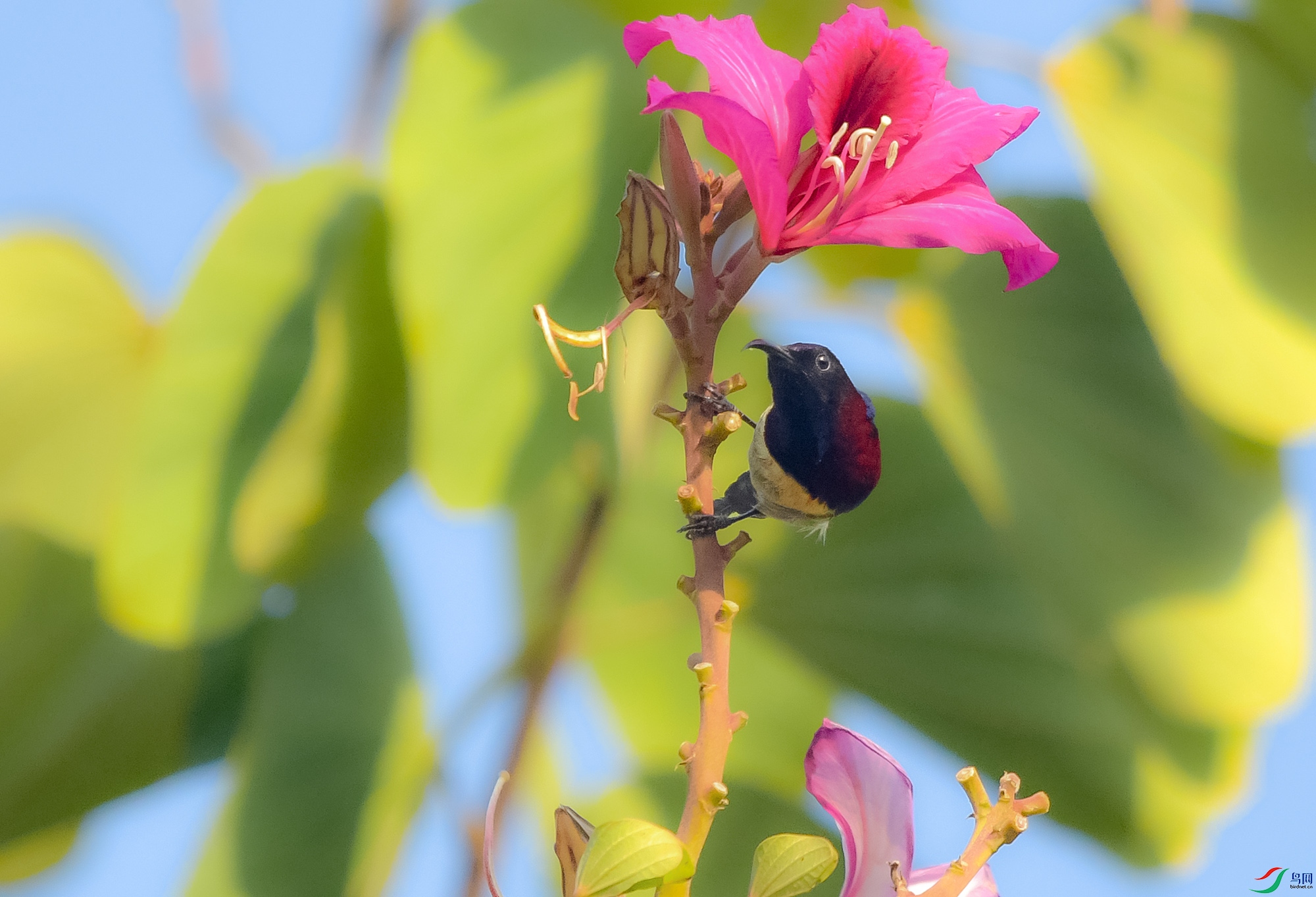 DSC_3511.JPG