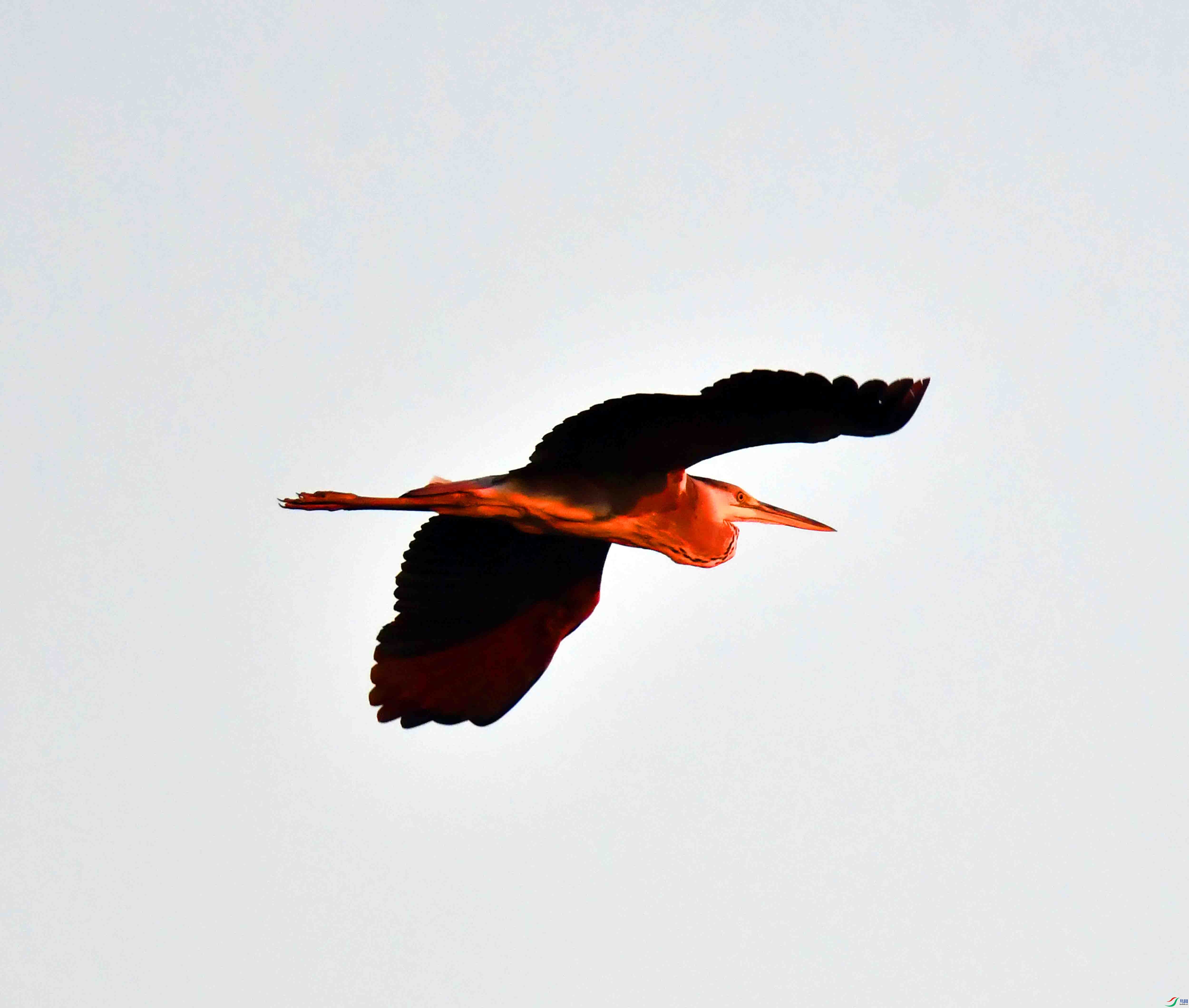 DSC_0913.JPG