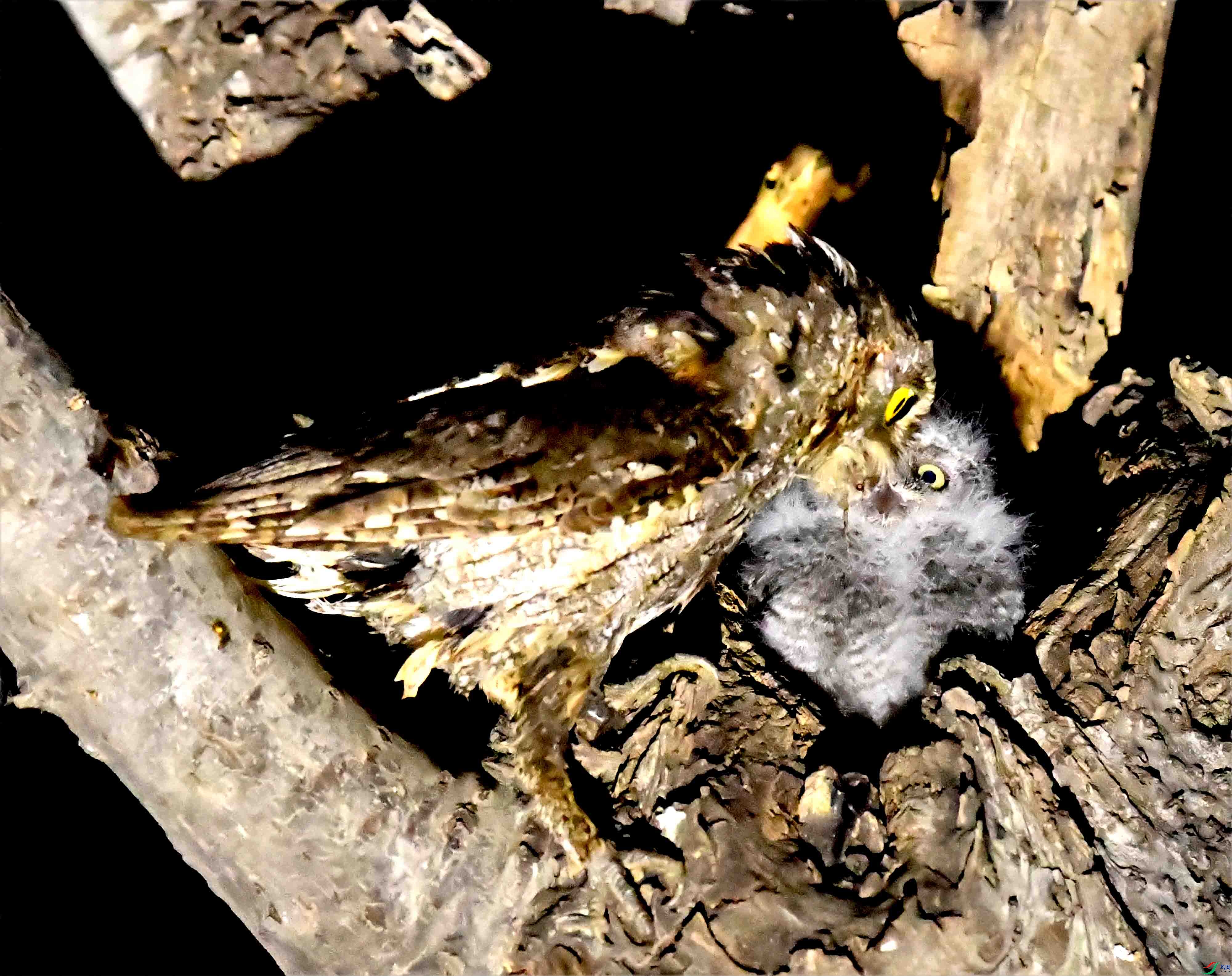 DSC_4872.JPG