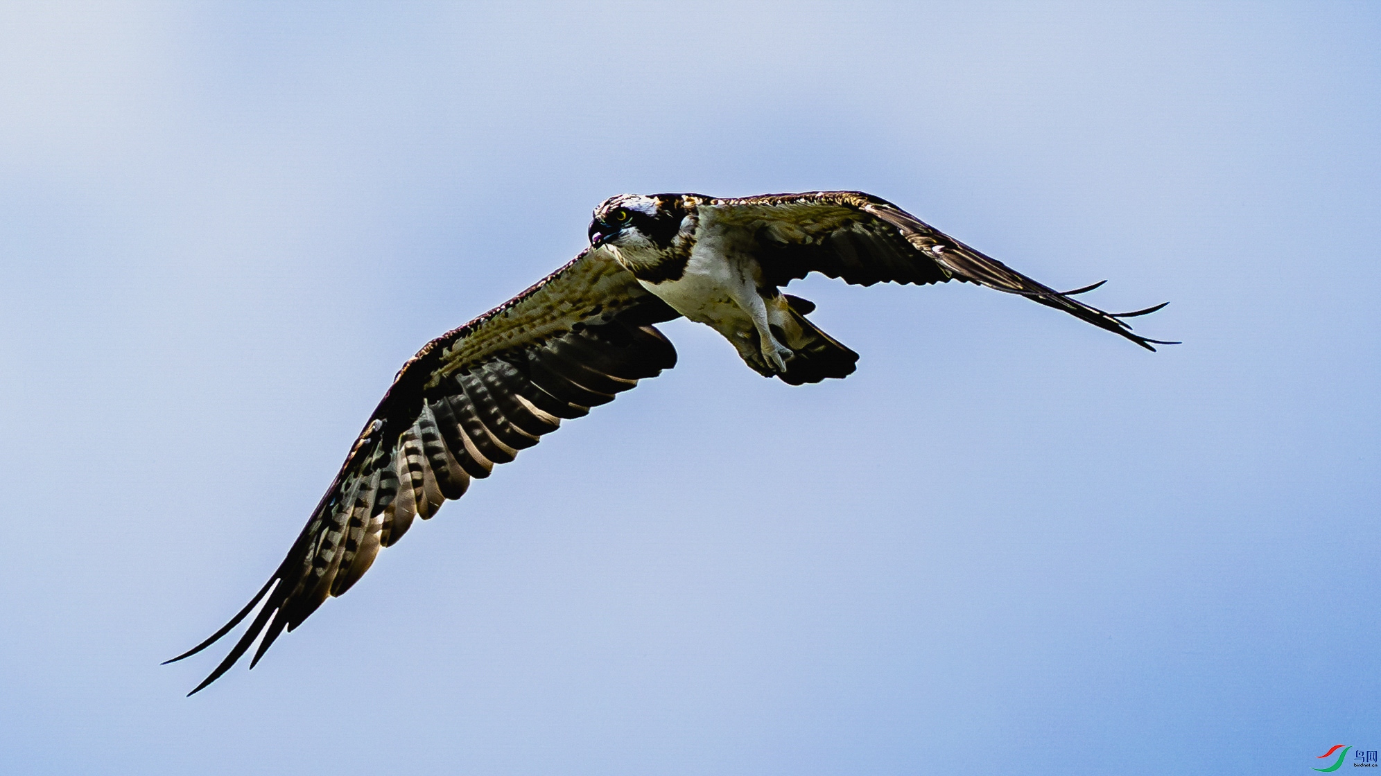 4F8A6492-2.jpg