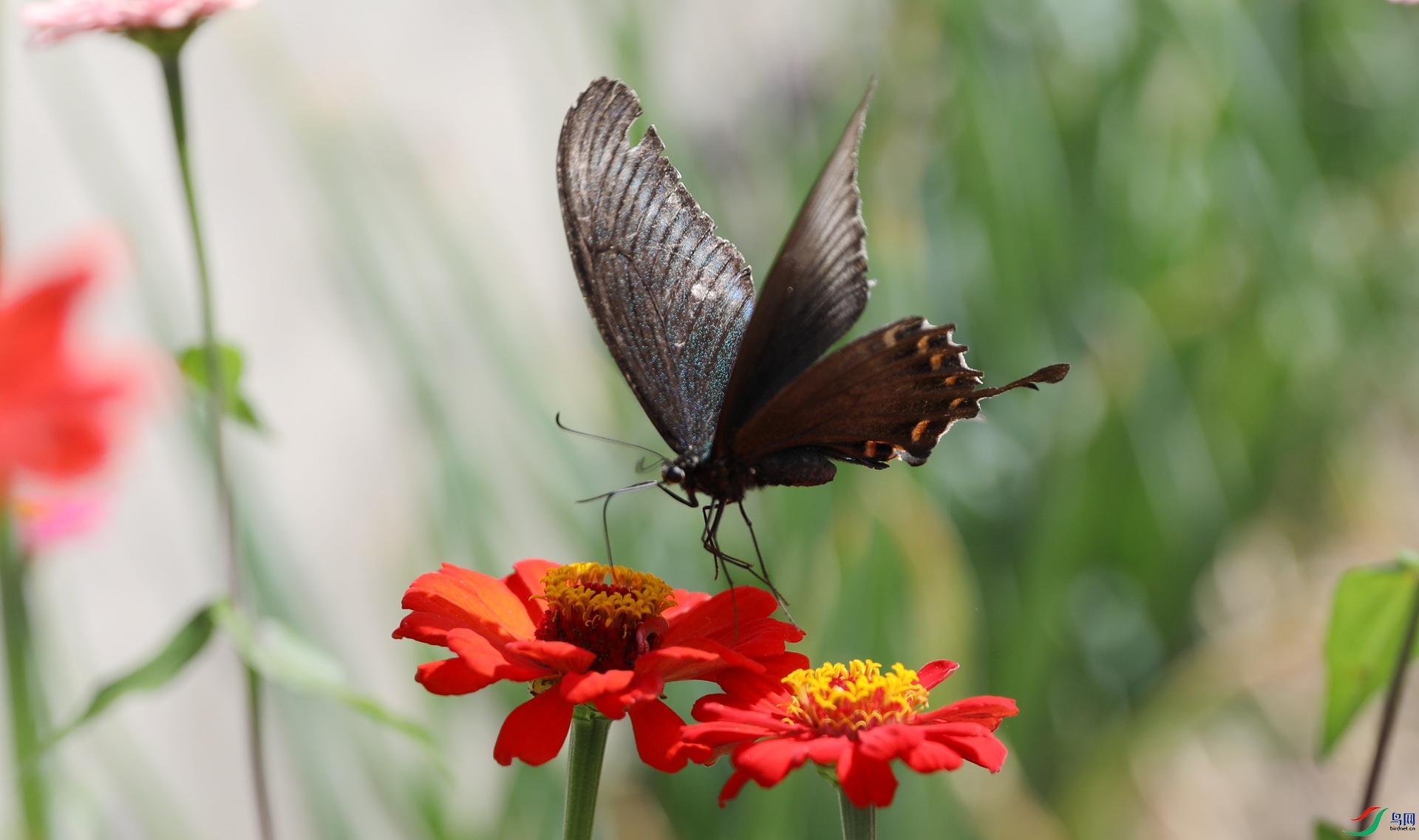 9G8A6916.JPG