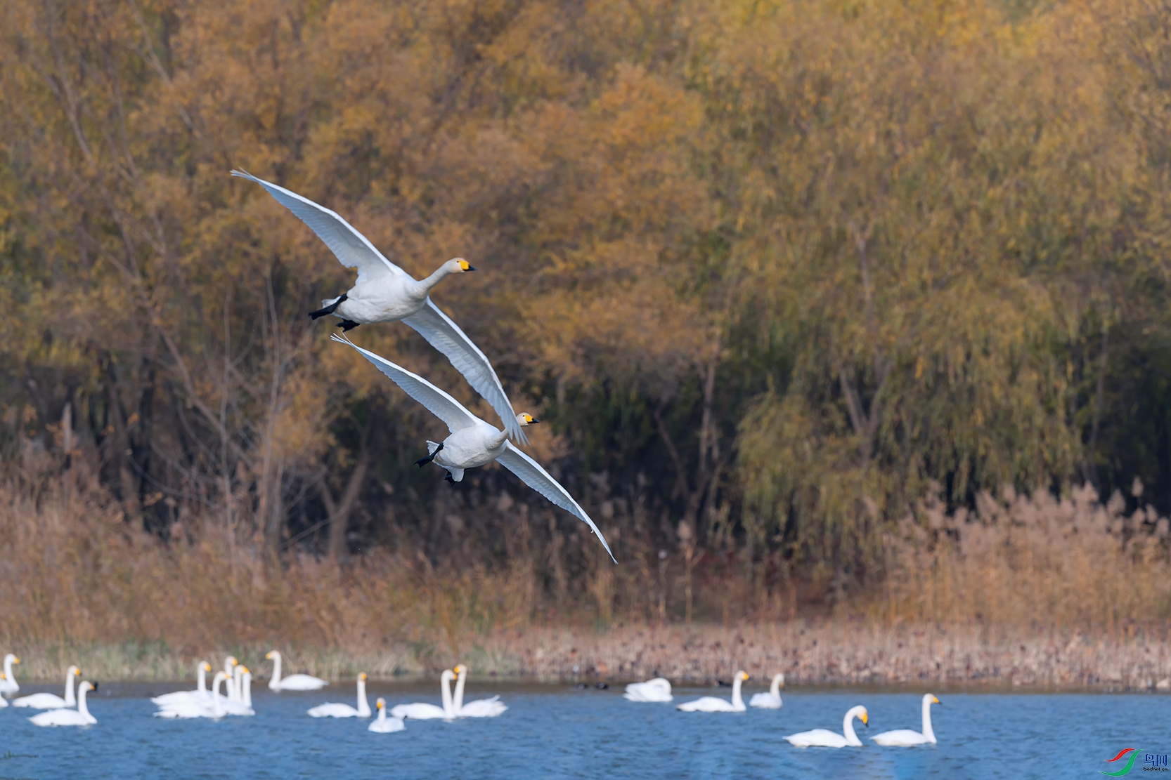 4DSC_4909_DxOa.jpg