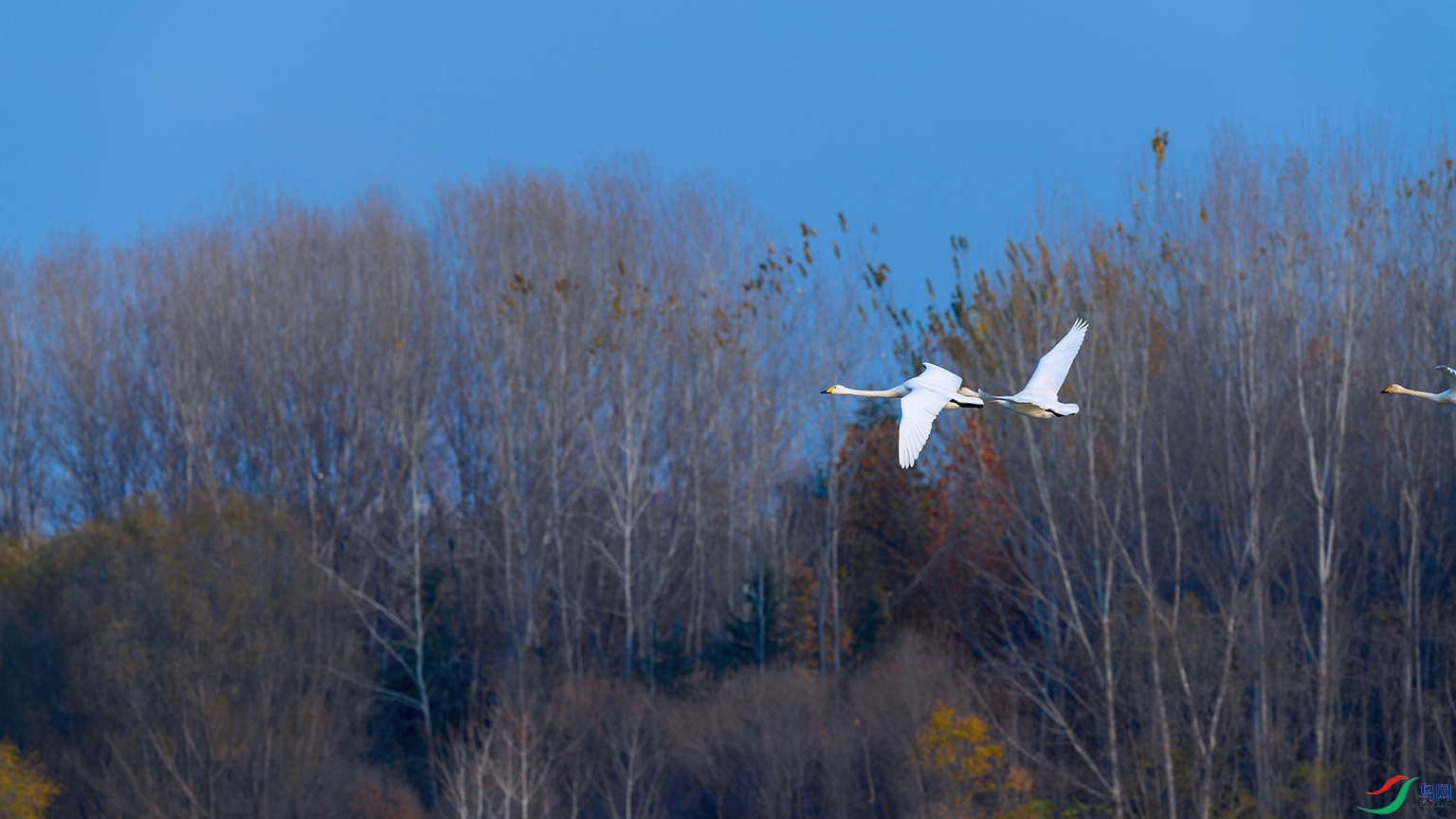 1DSC_5078_DxOa.jpg
