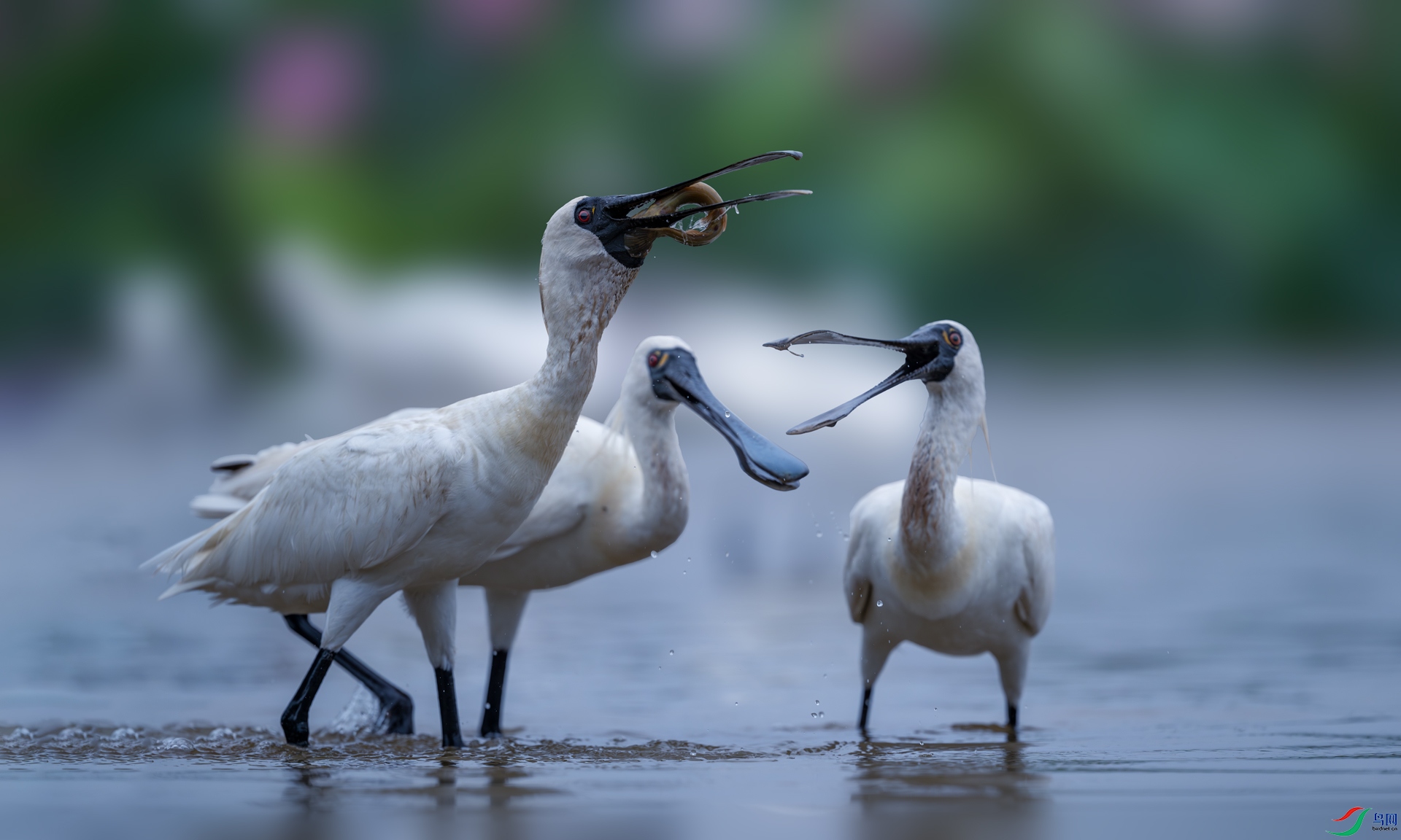 �����Դ�