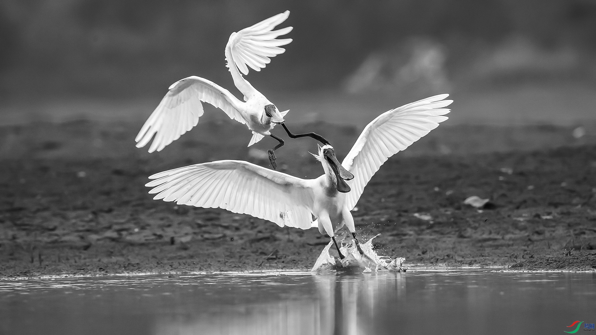 BP3I9450_��ͼ��_��ͼ�� ����a_��ͼ��.jpg