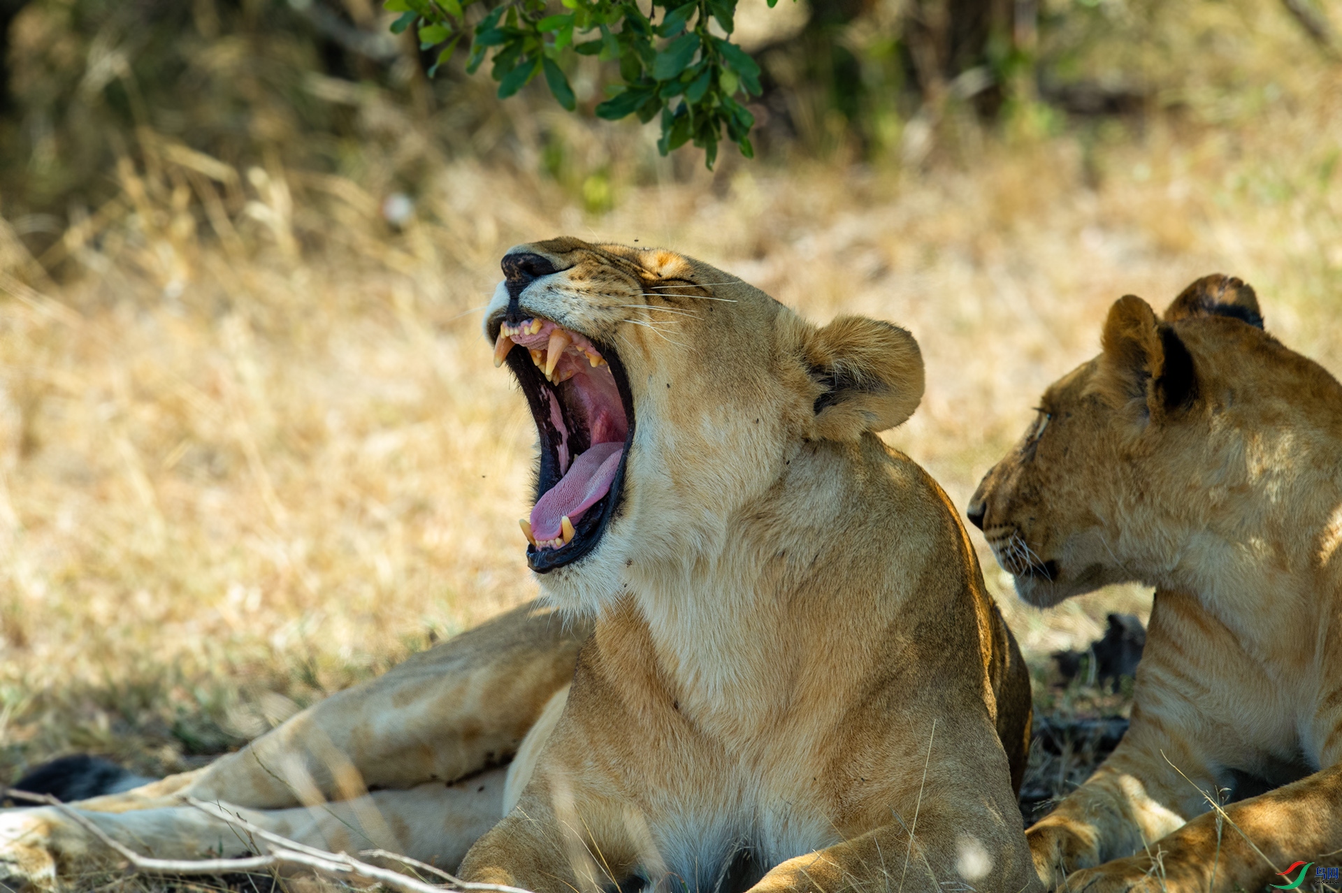 DSC_8732 ����..jpg