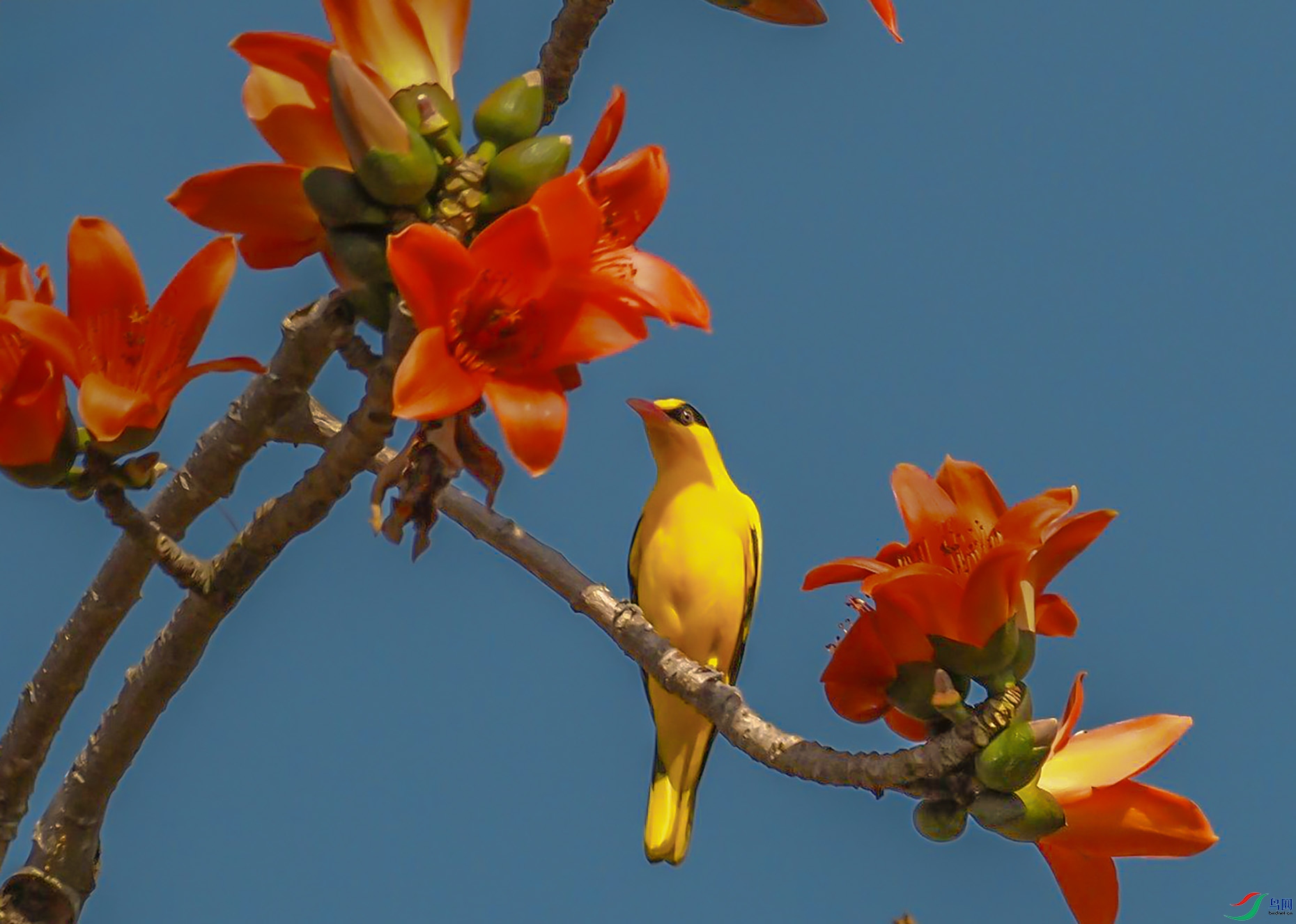 P2010276_���ٿ�ͼ.jpg